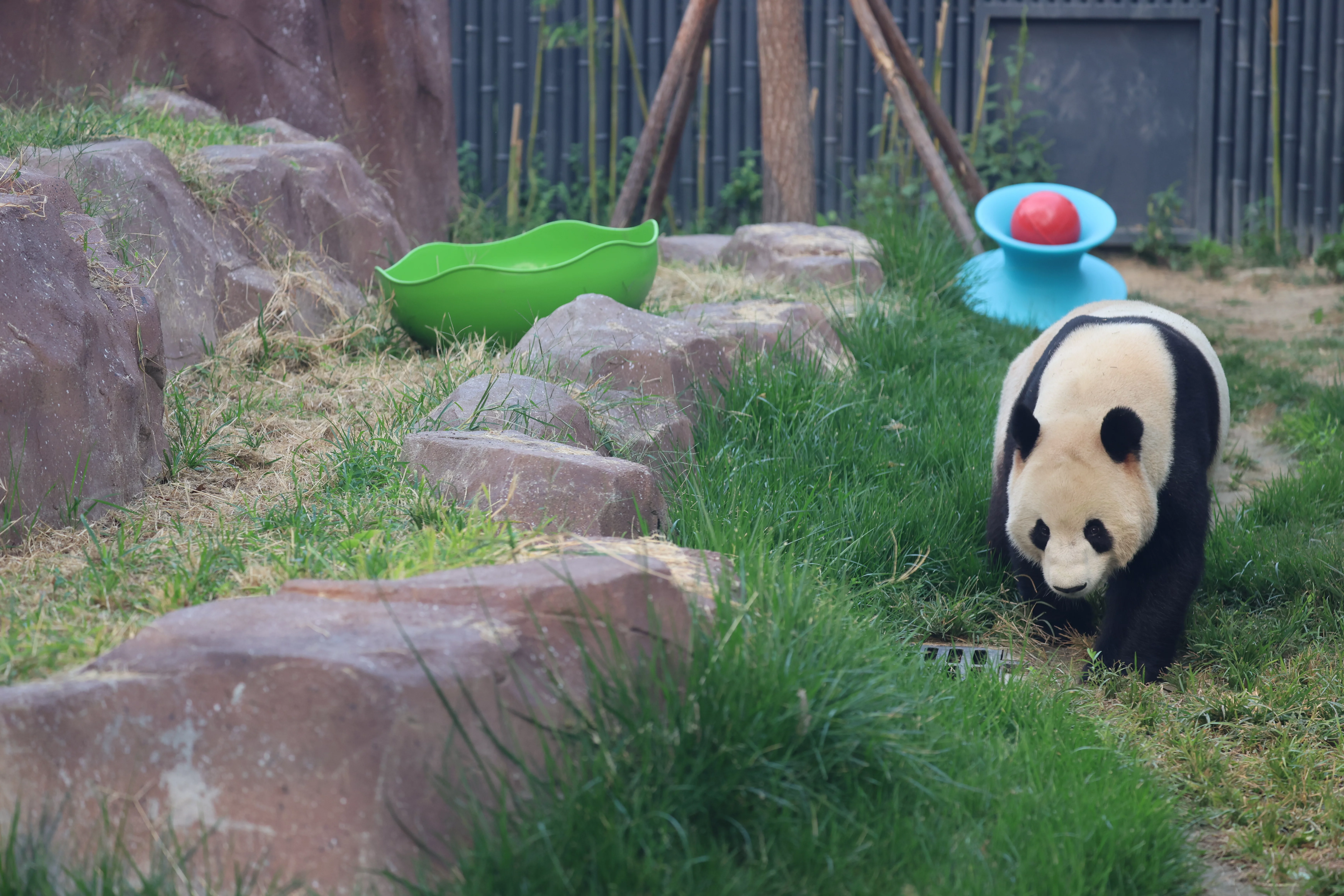 Beijing Zoo