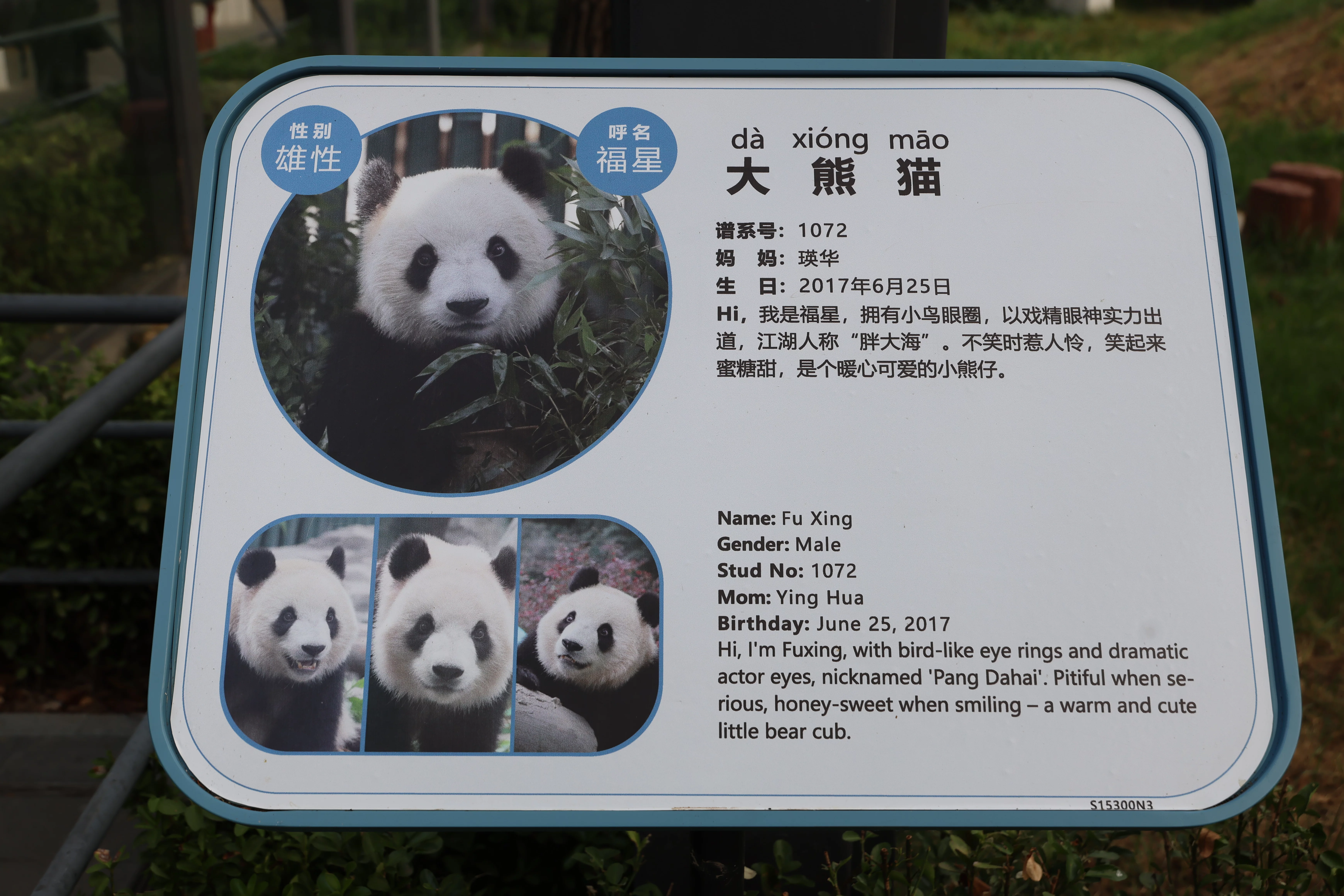 Beijing Zoo