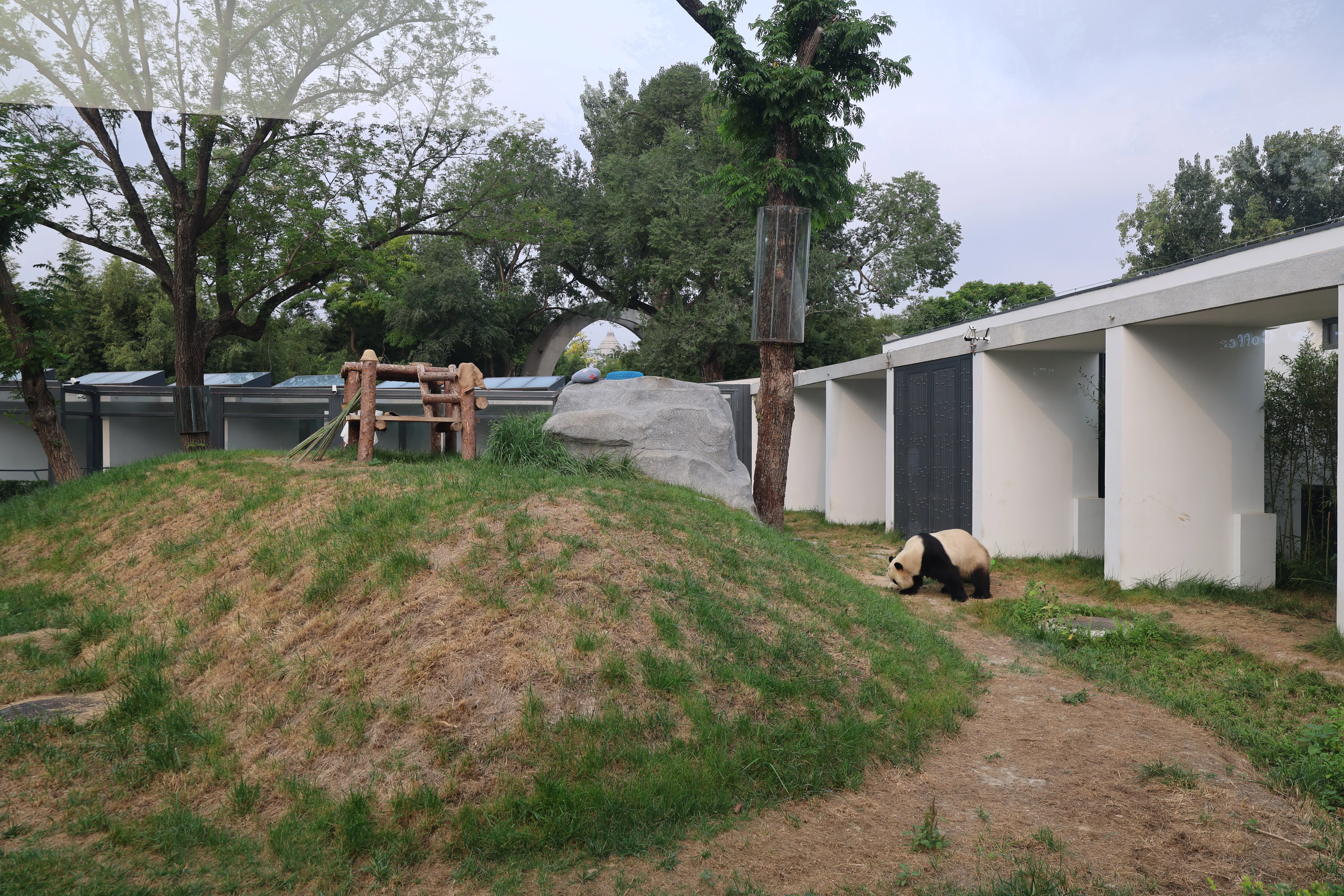 Beijing Zoo