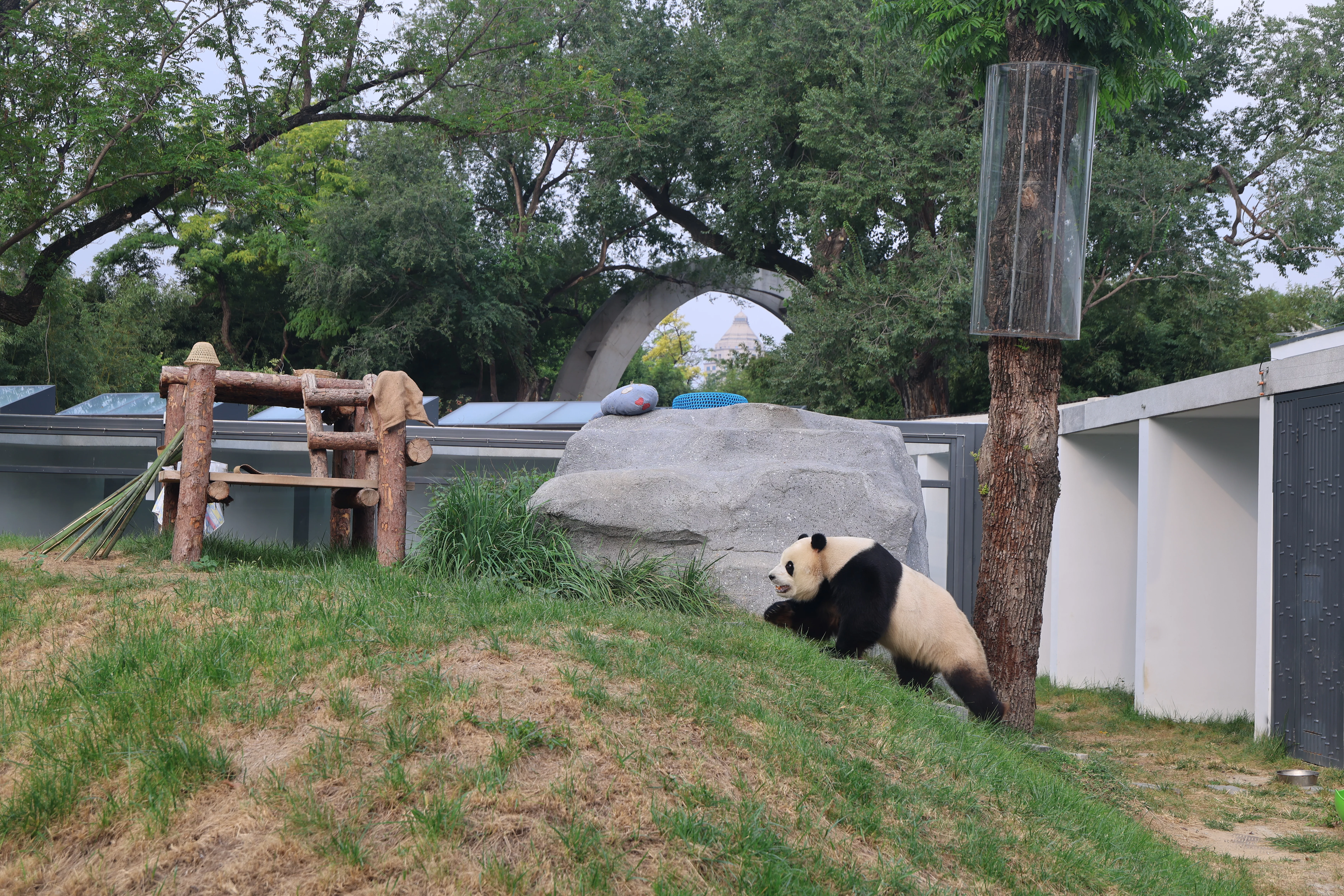 Beijing Zoo