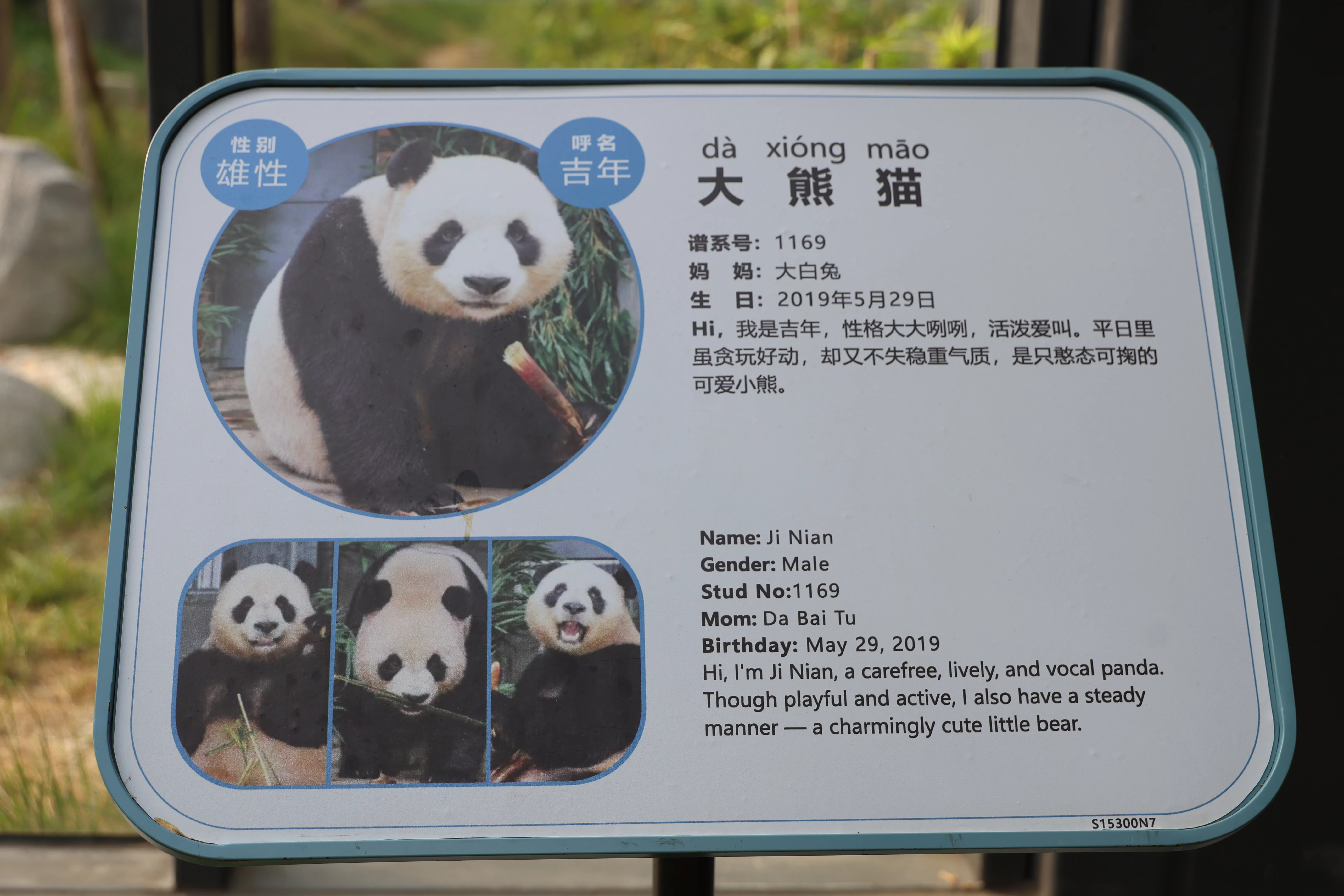 Beijing Zoo