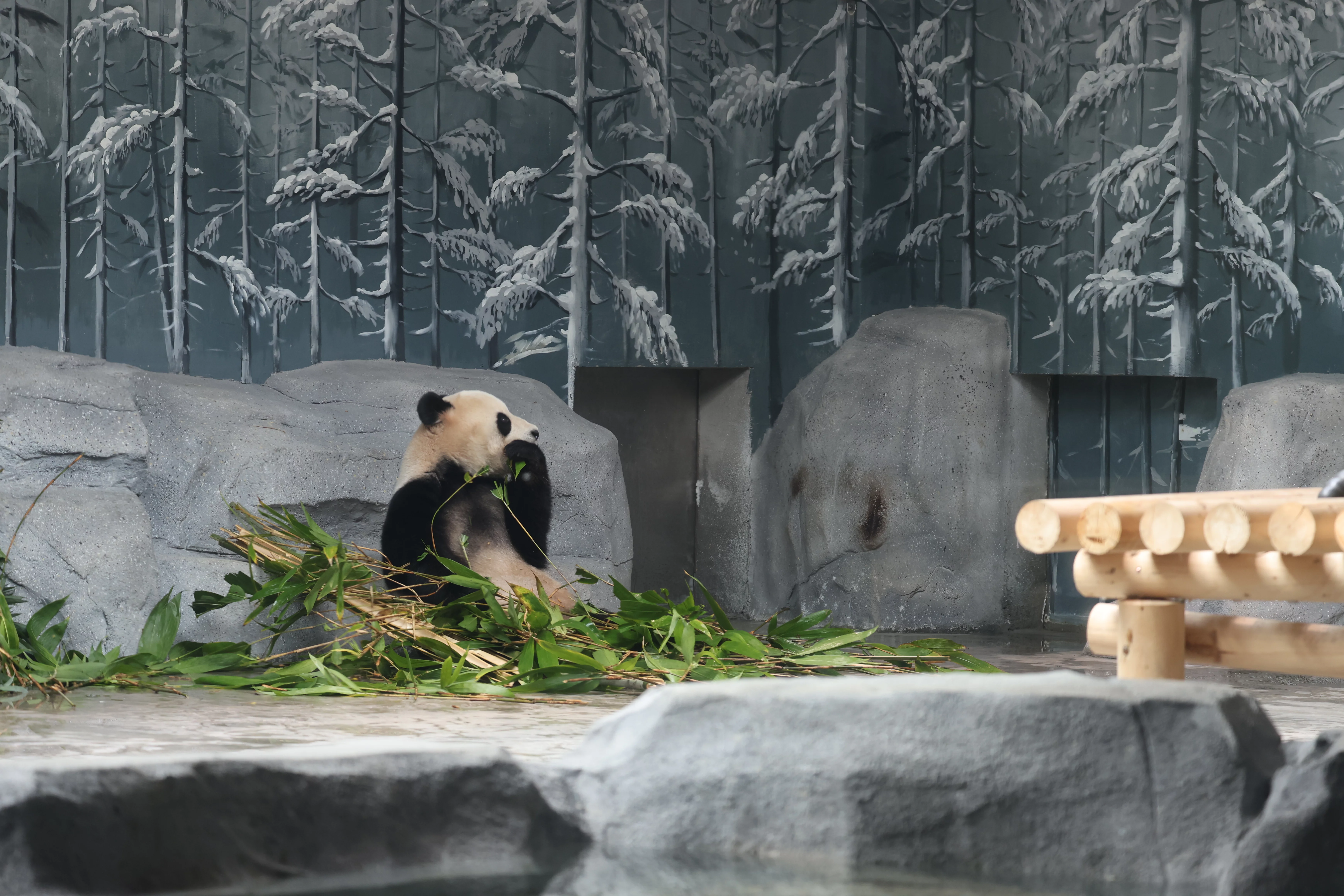 Beijing Zoo