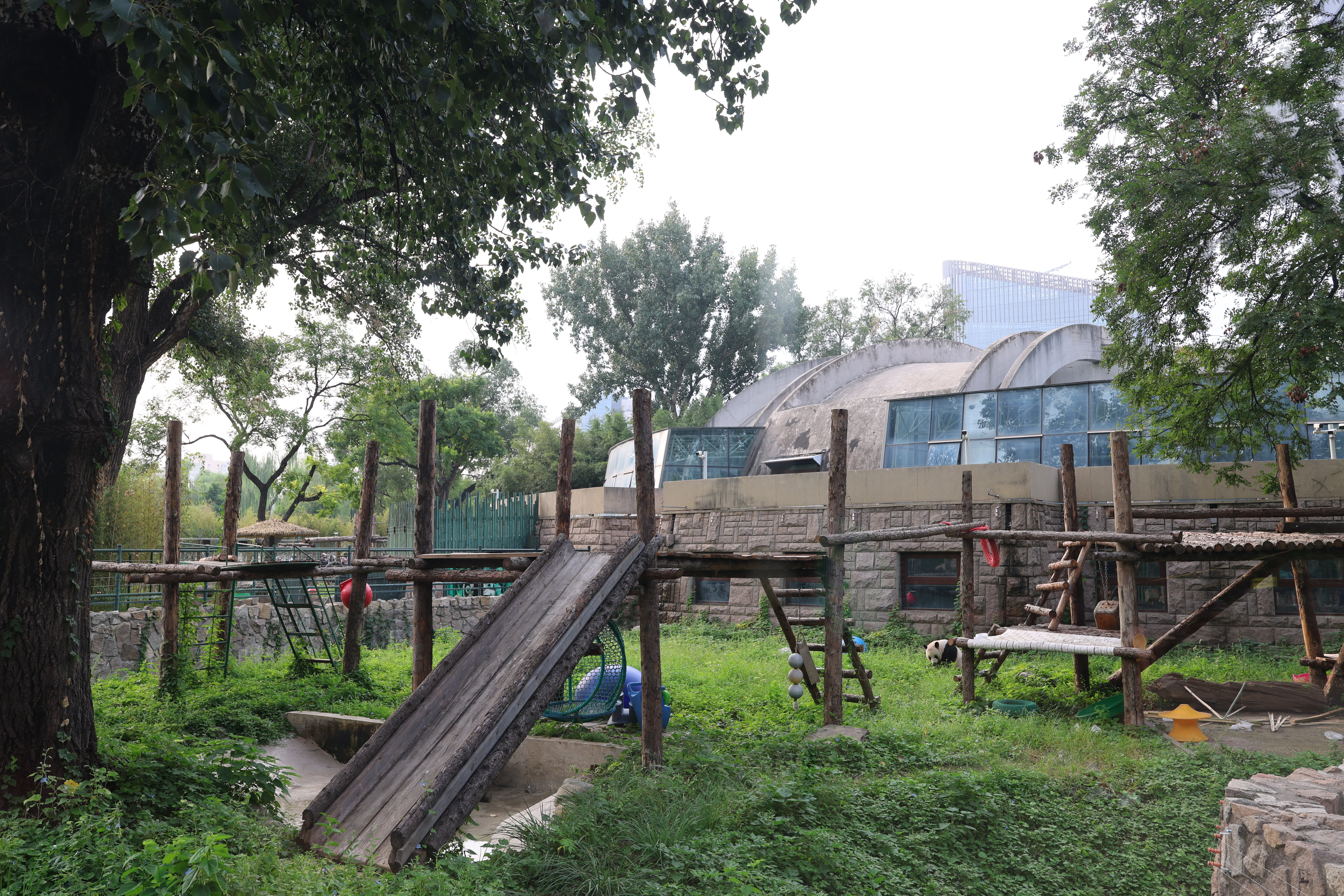 Beijing Zoo