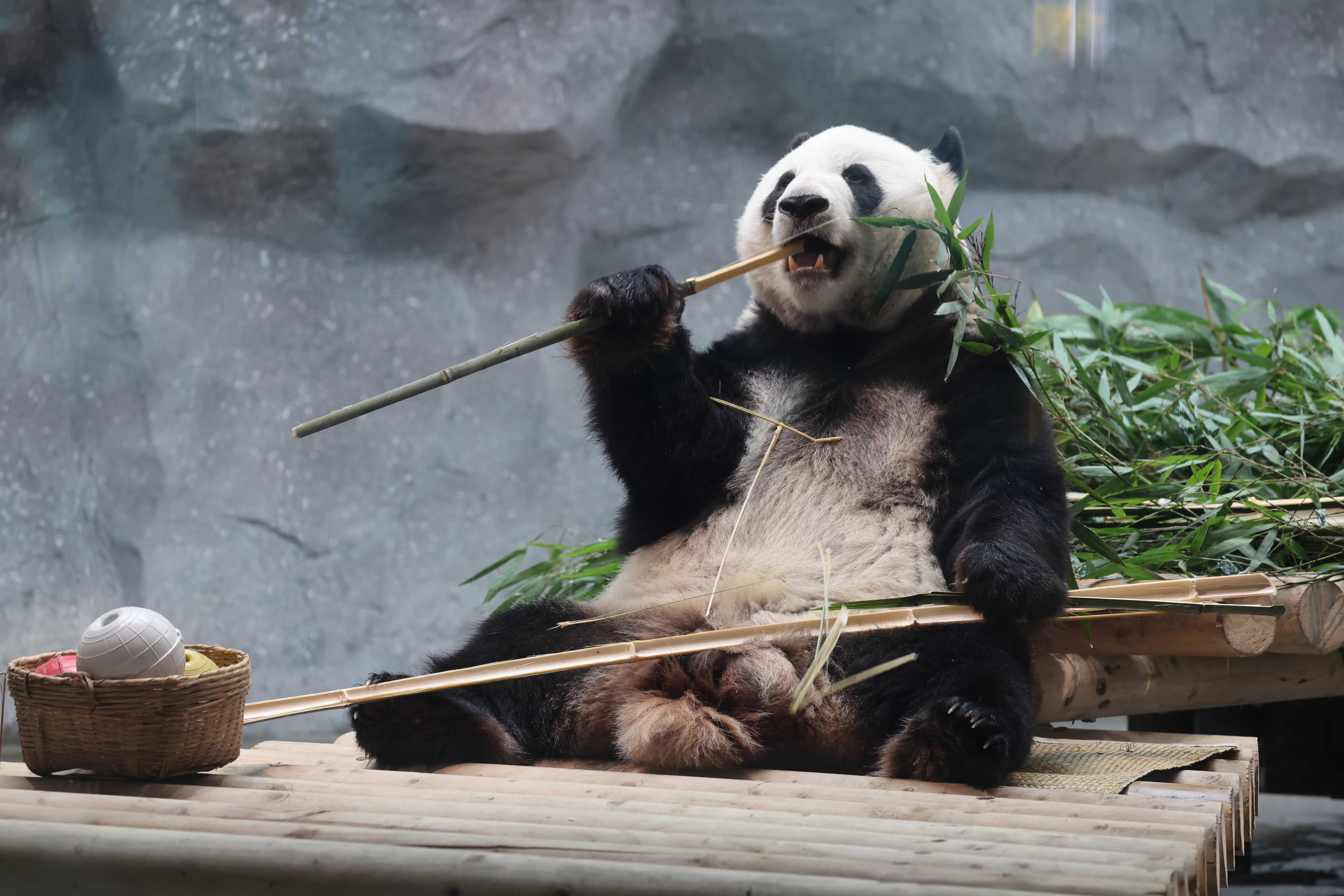 Beijing Zoo