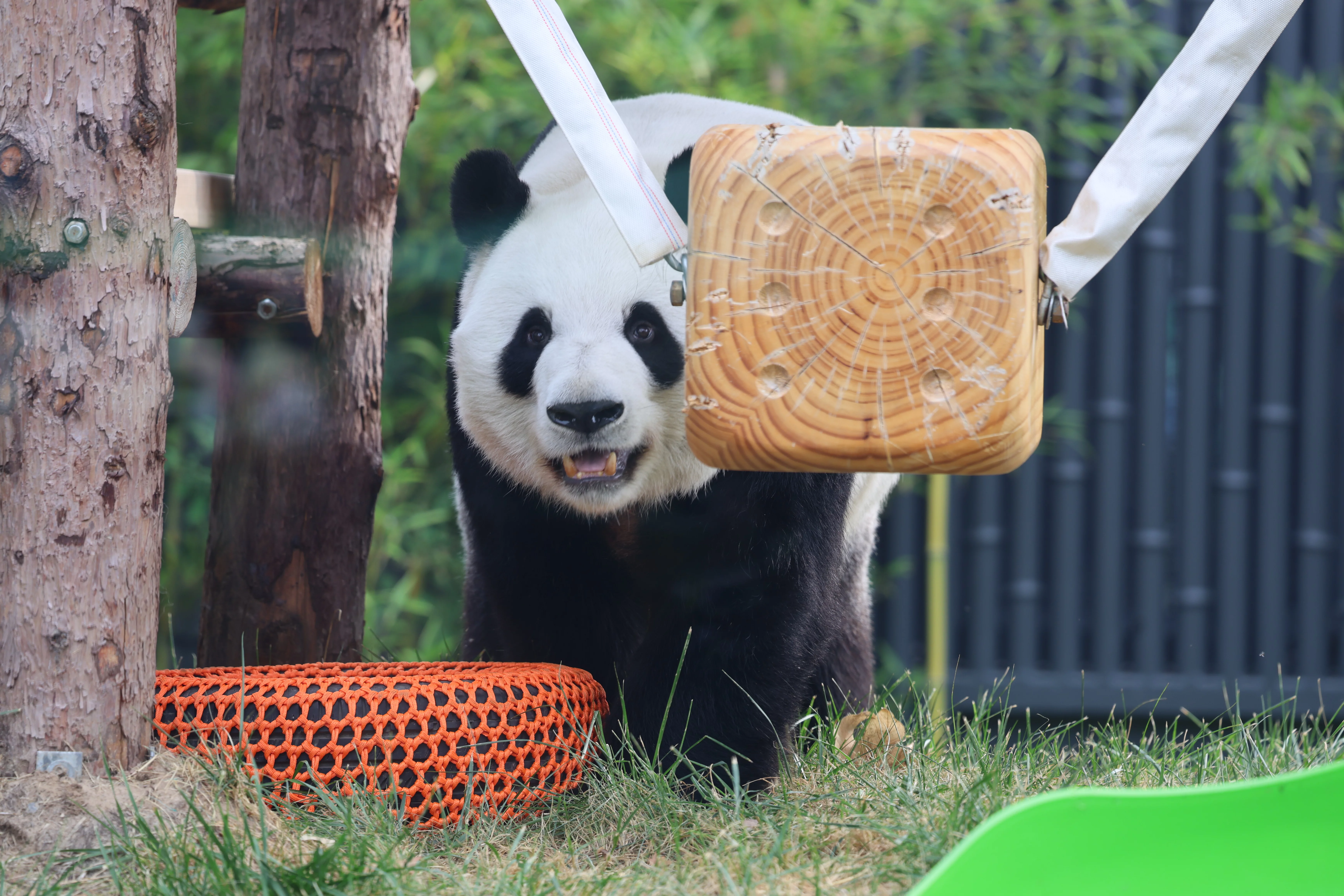 Beijing Zoo