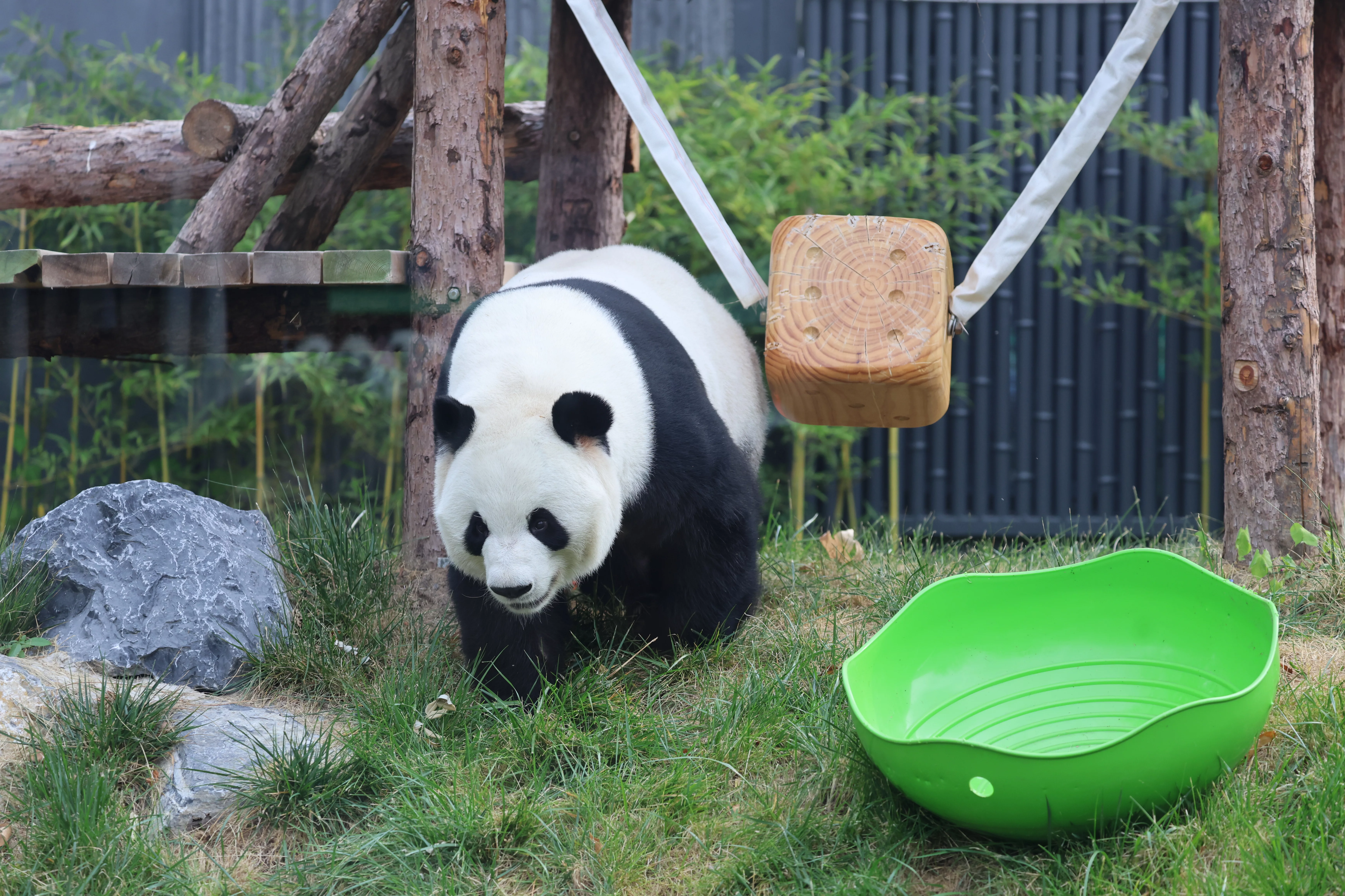 Beijing Zoo