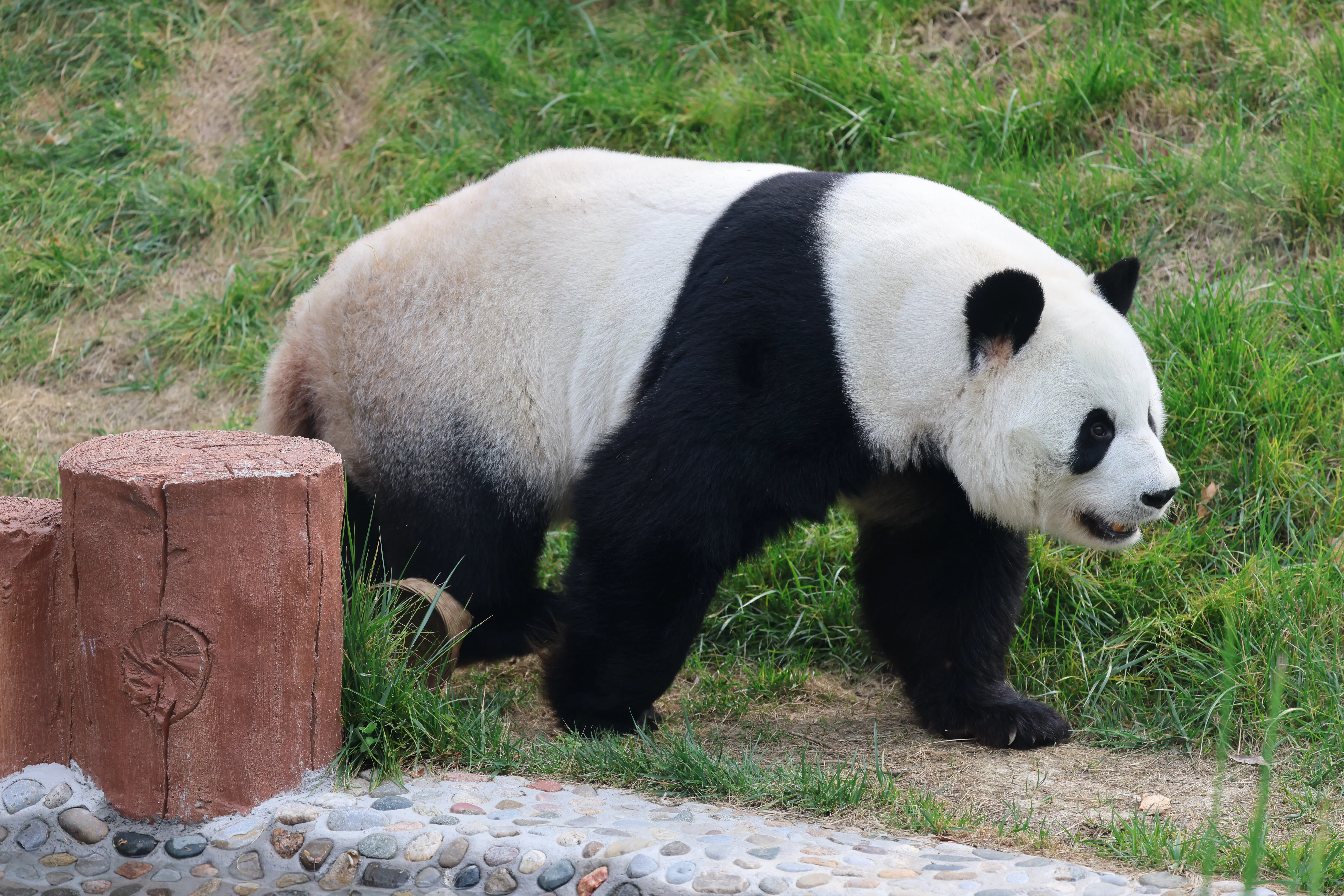 Beijing Zoo