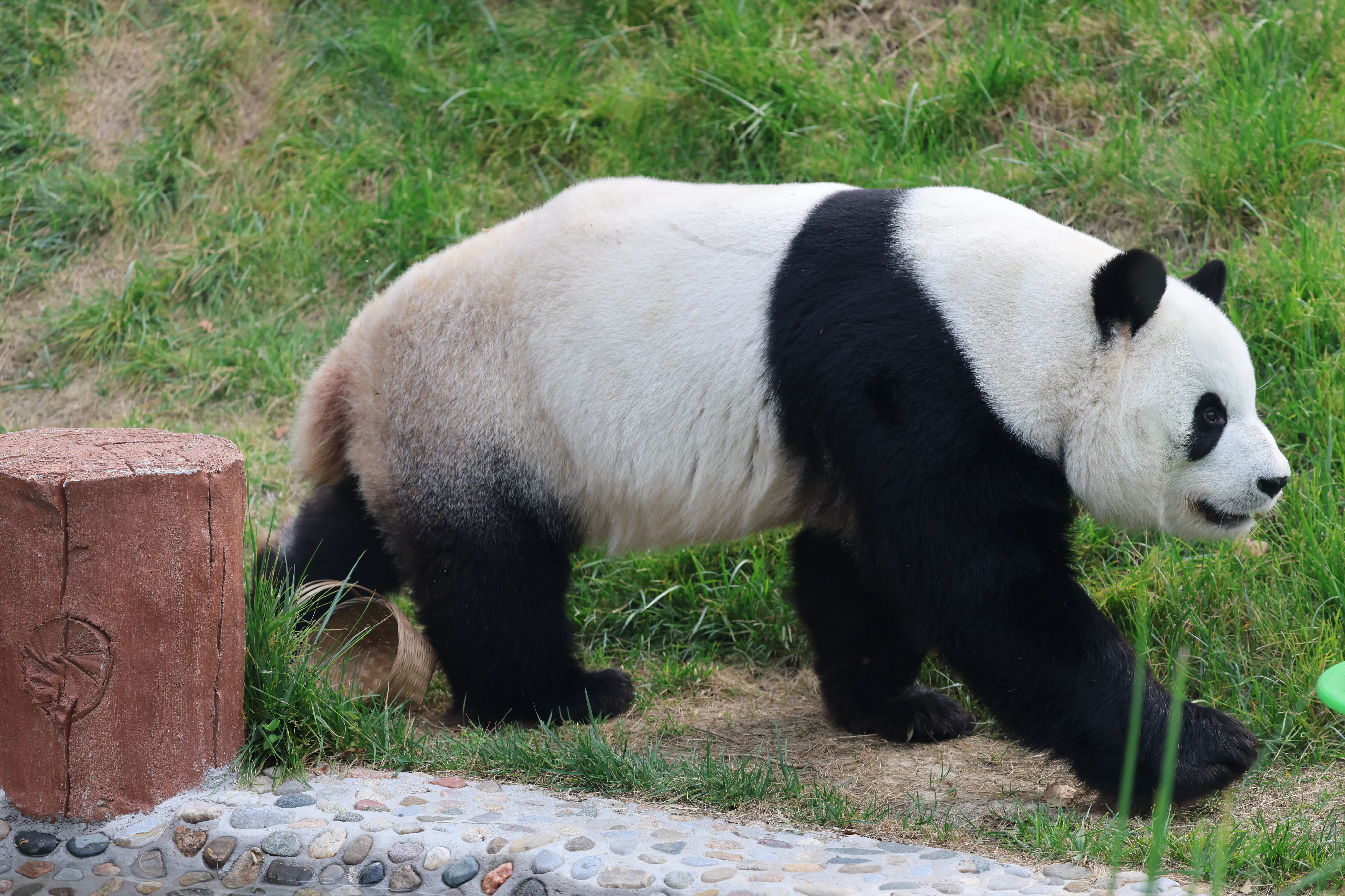Beijing Zoo