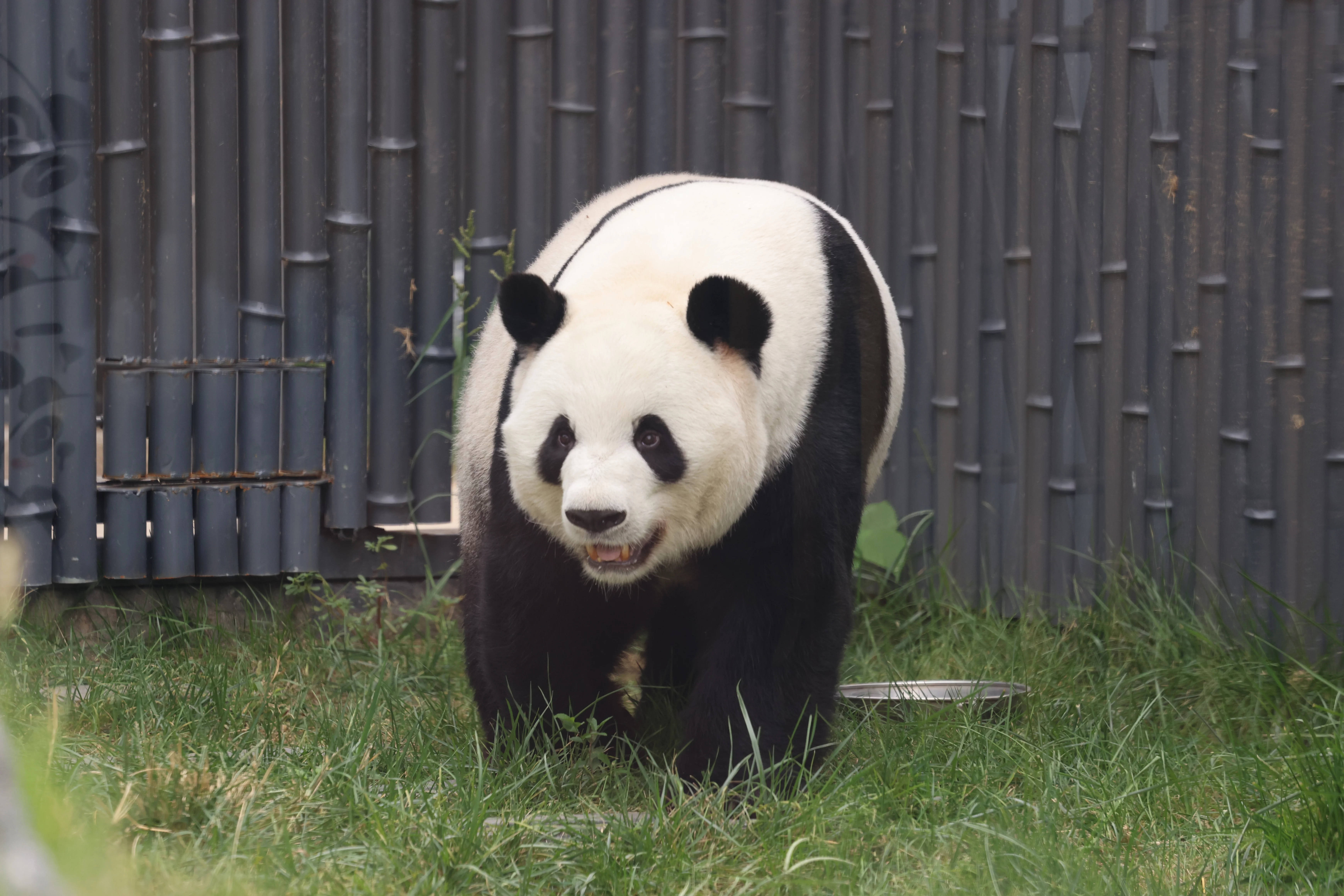 Beijing Zoo