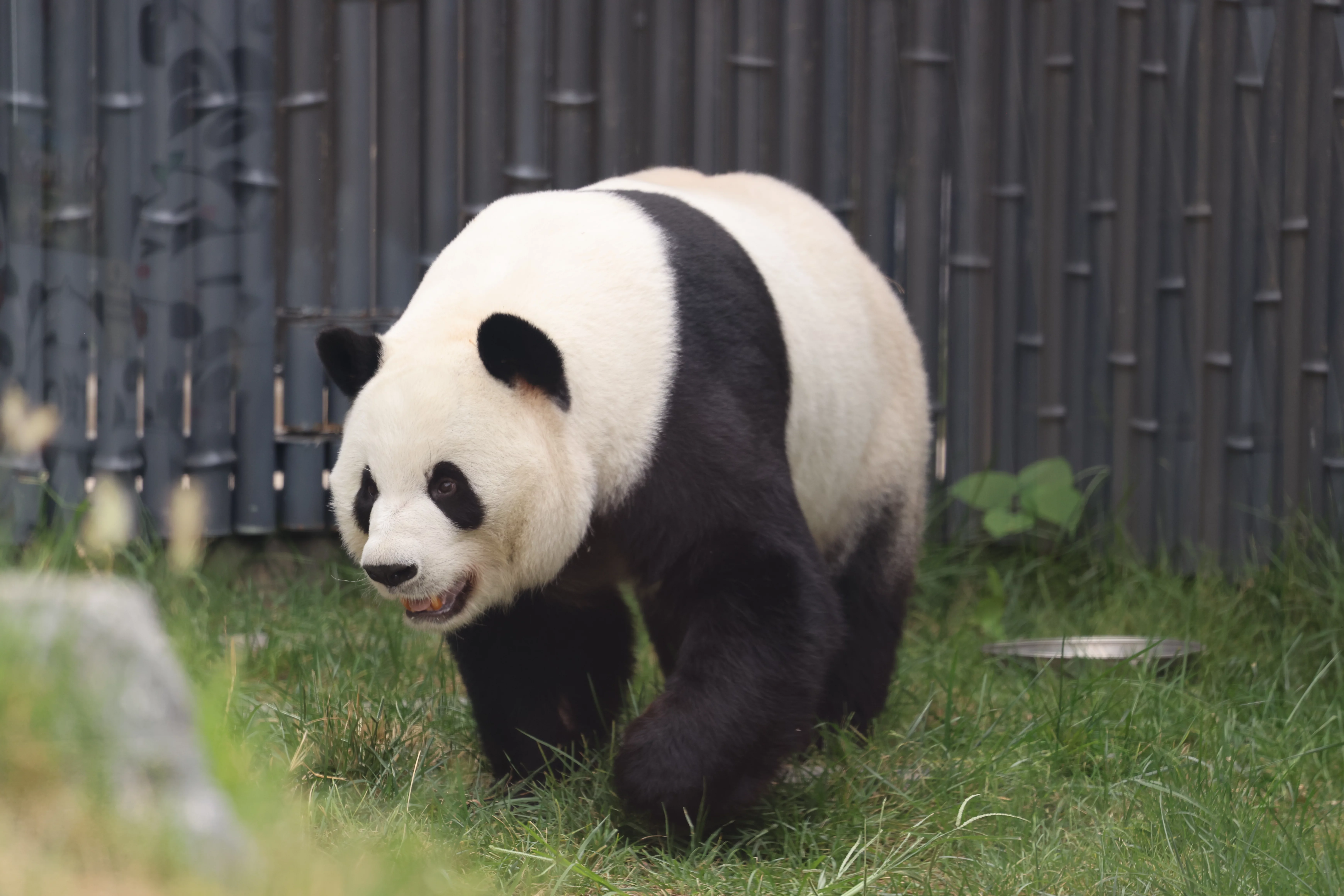 Beijing Zoo