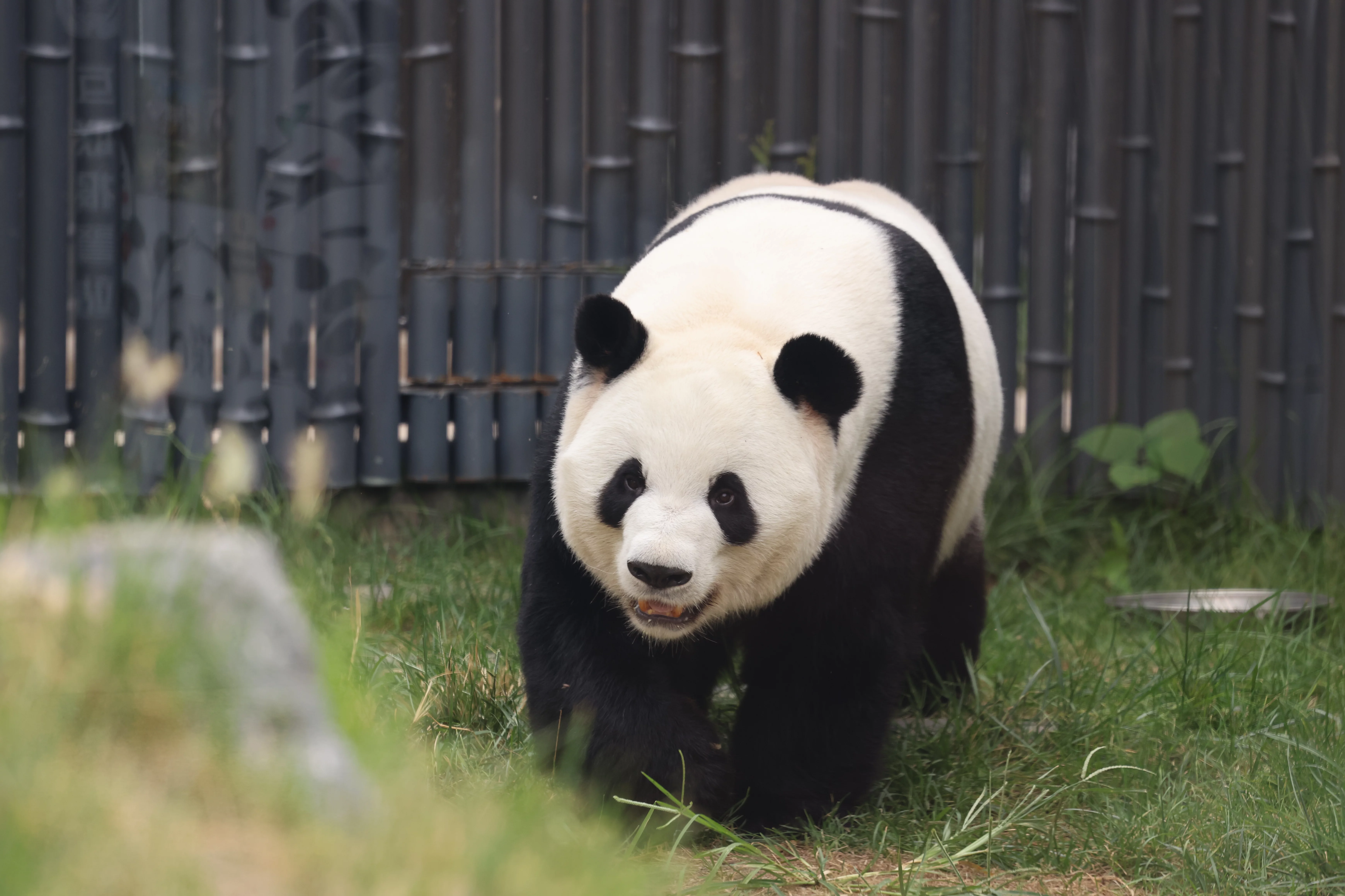 Beijing Zoo