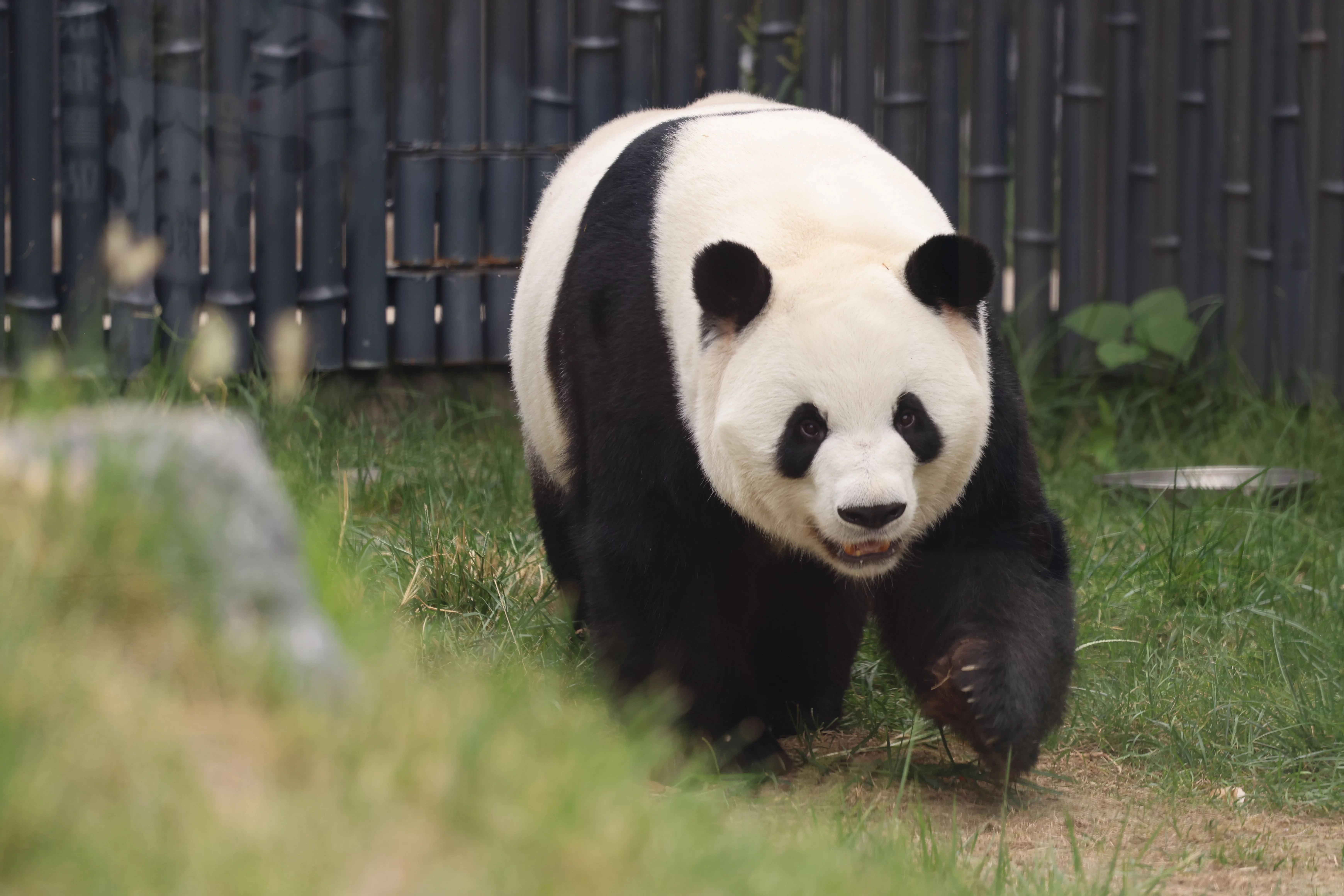 Beijing Zoo