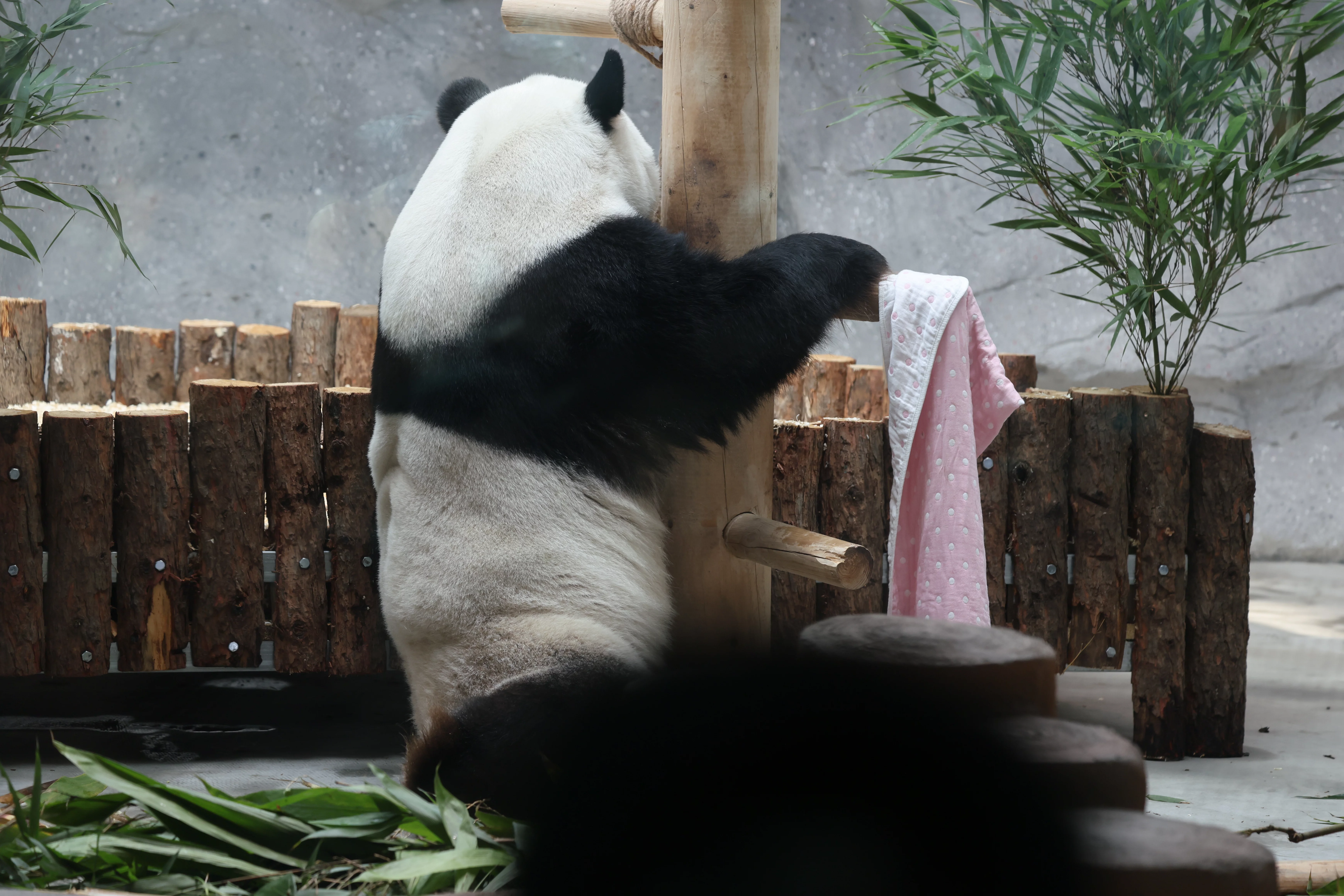Beijing Zoo