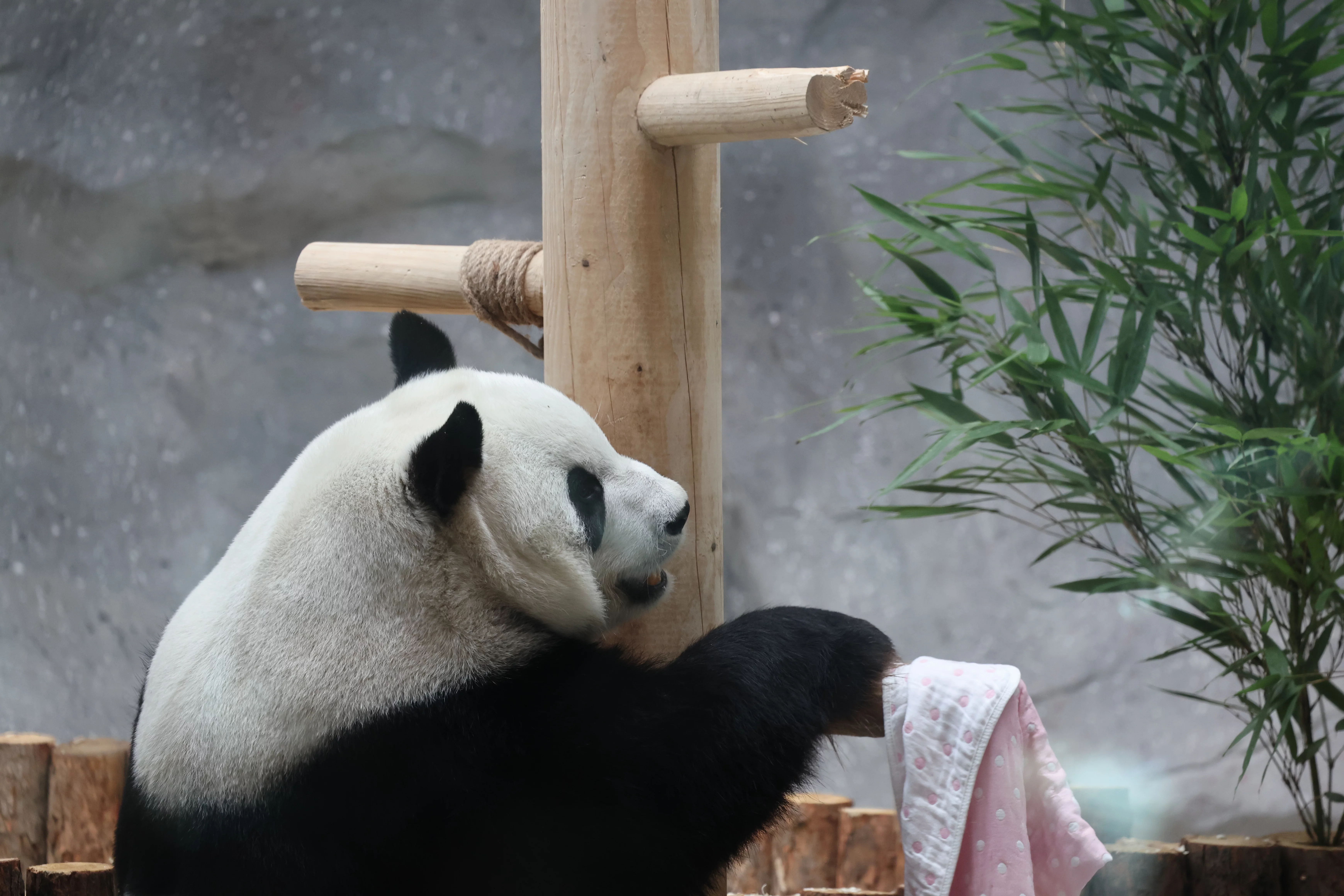 Beijing Zoo