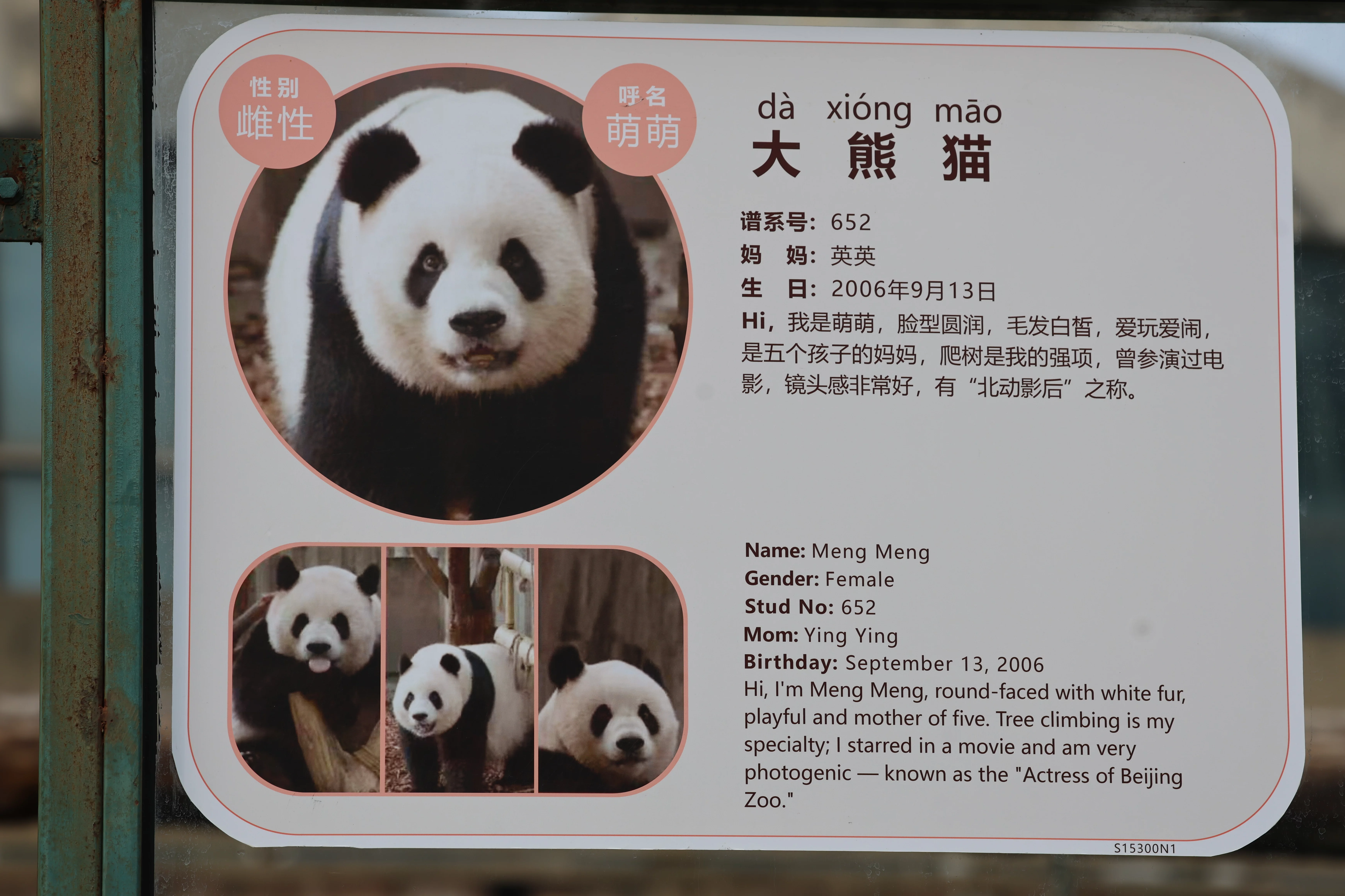 Beijing Zoo