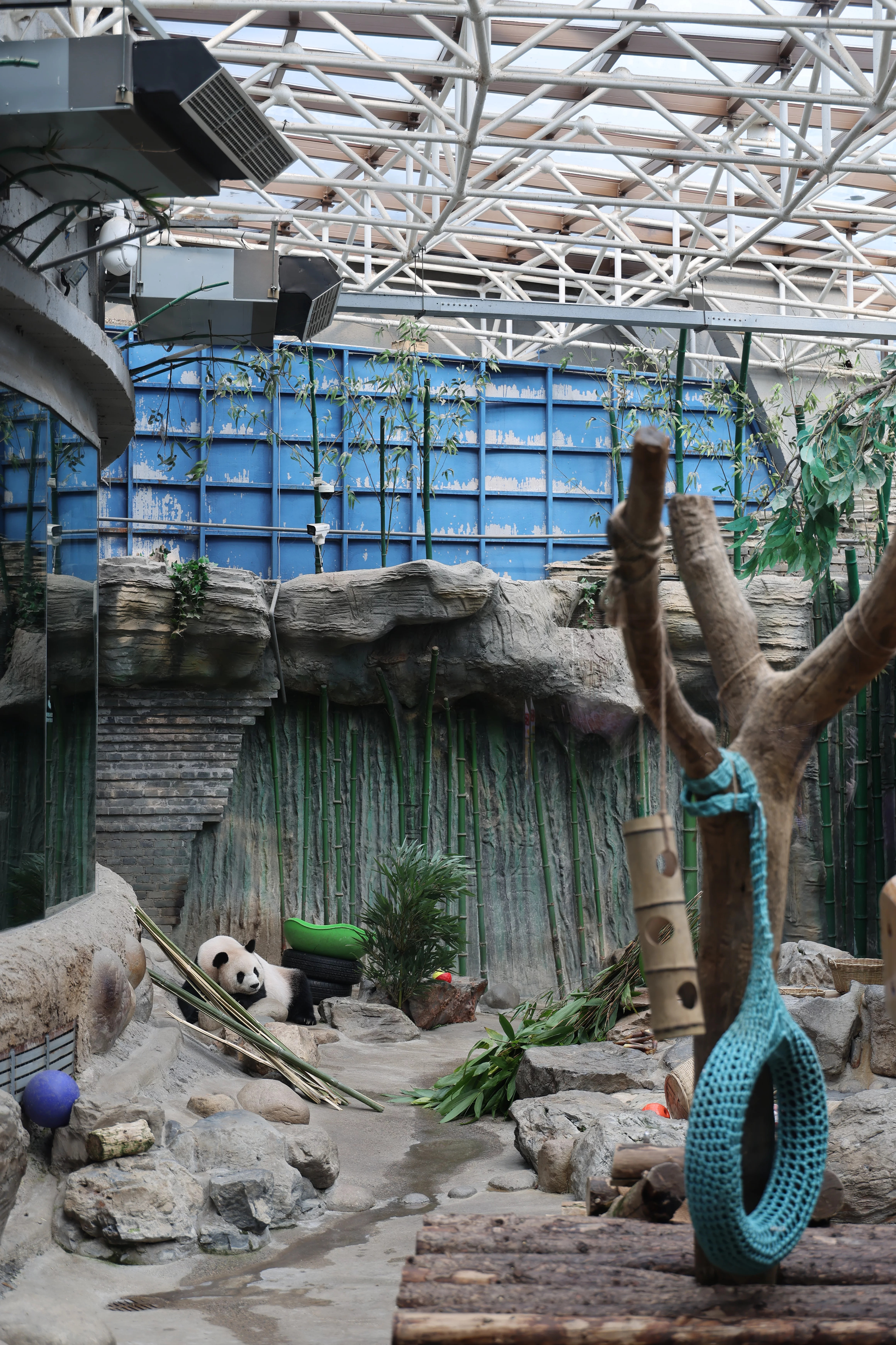 Beijing Zoo
