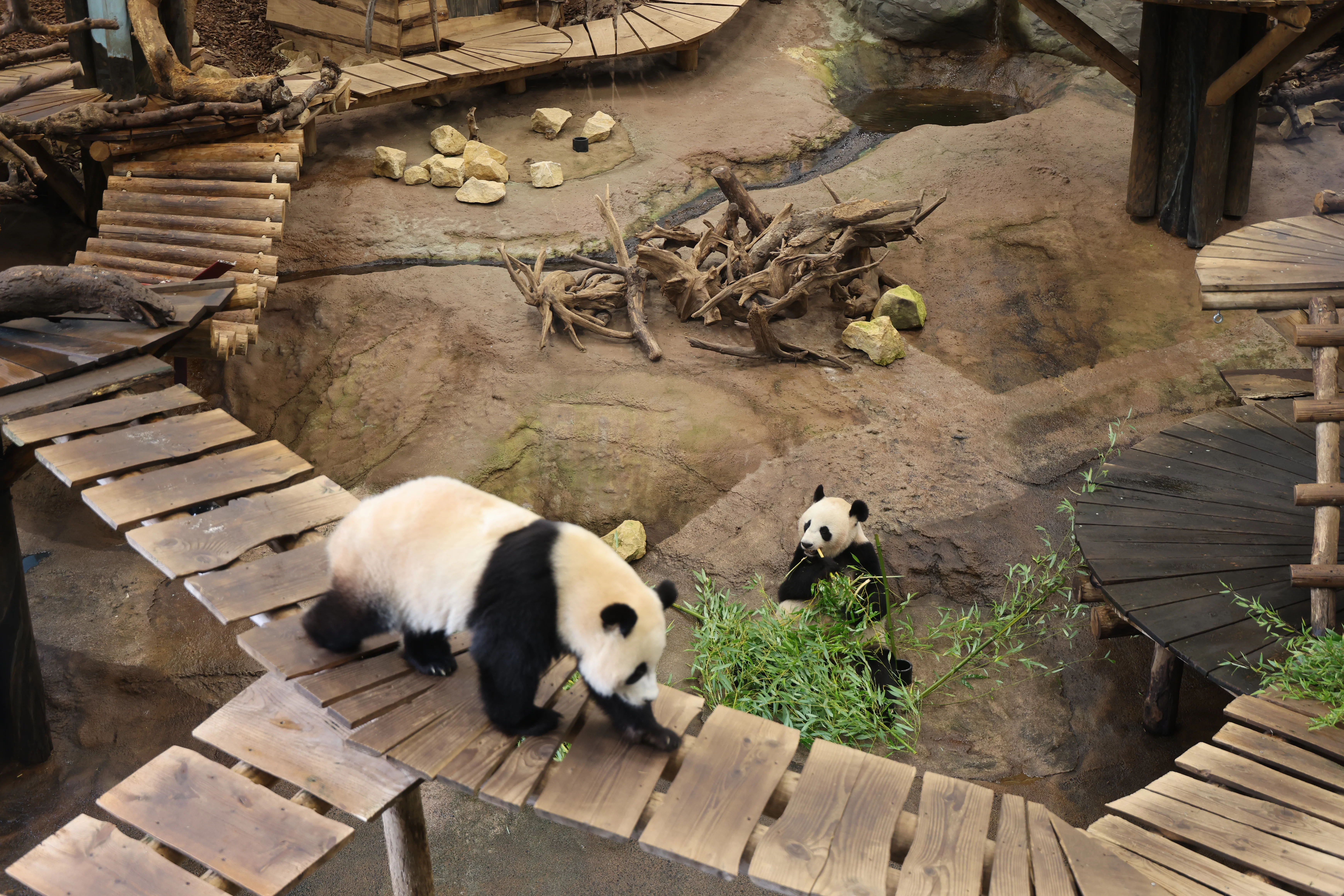 Ouwehands Dierenpark Rhenen