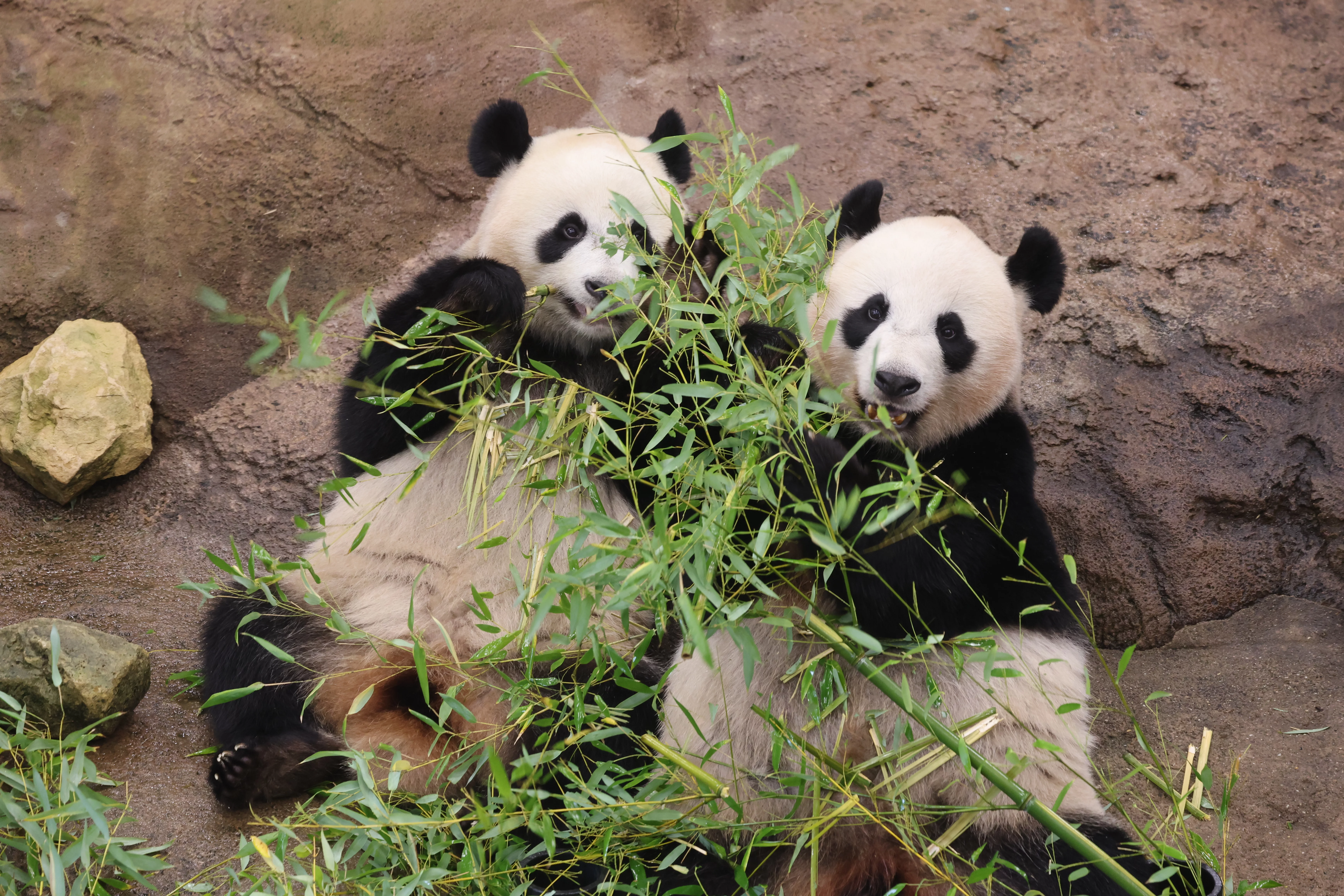 Ouwehands Dierenpark Rhenen