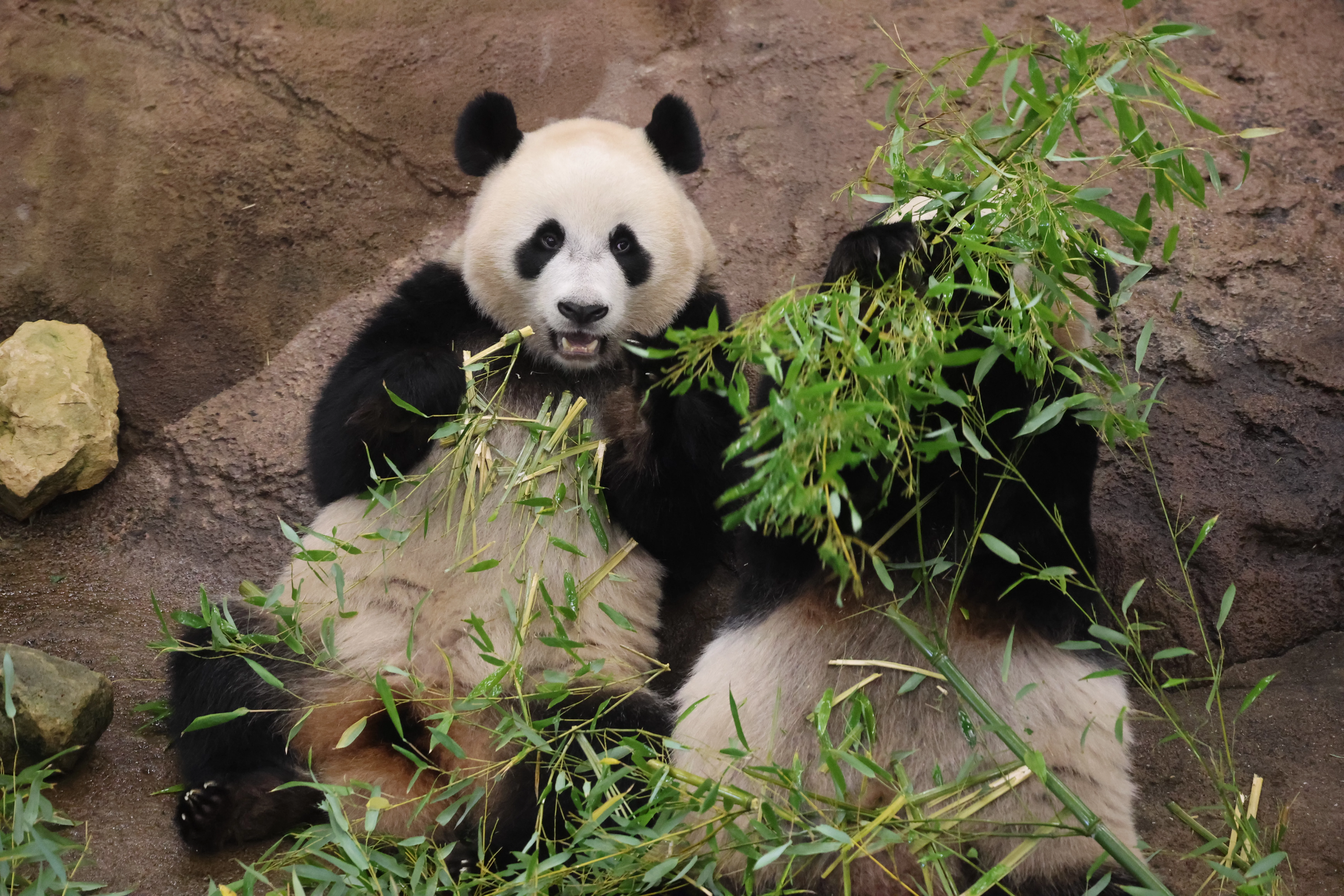 Ouwehands Dierenpark Rhenen