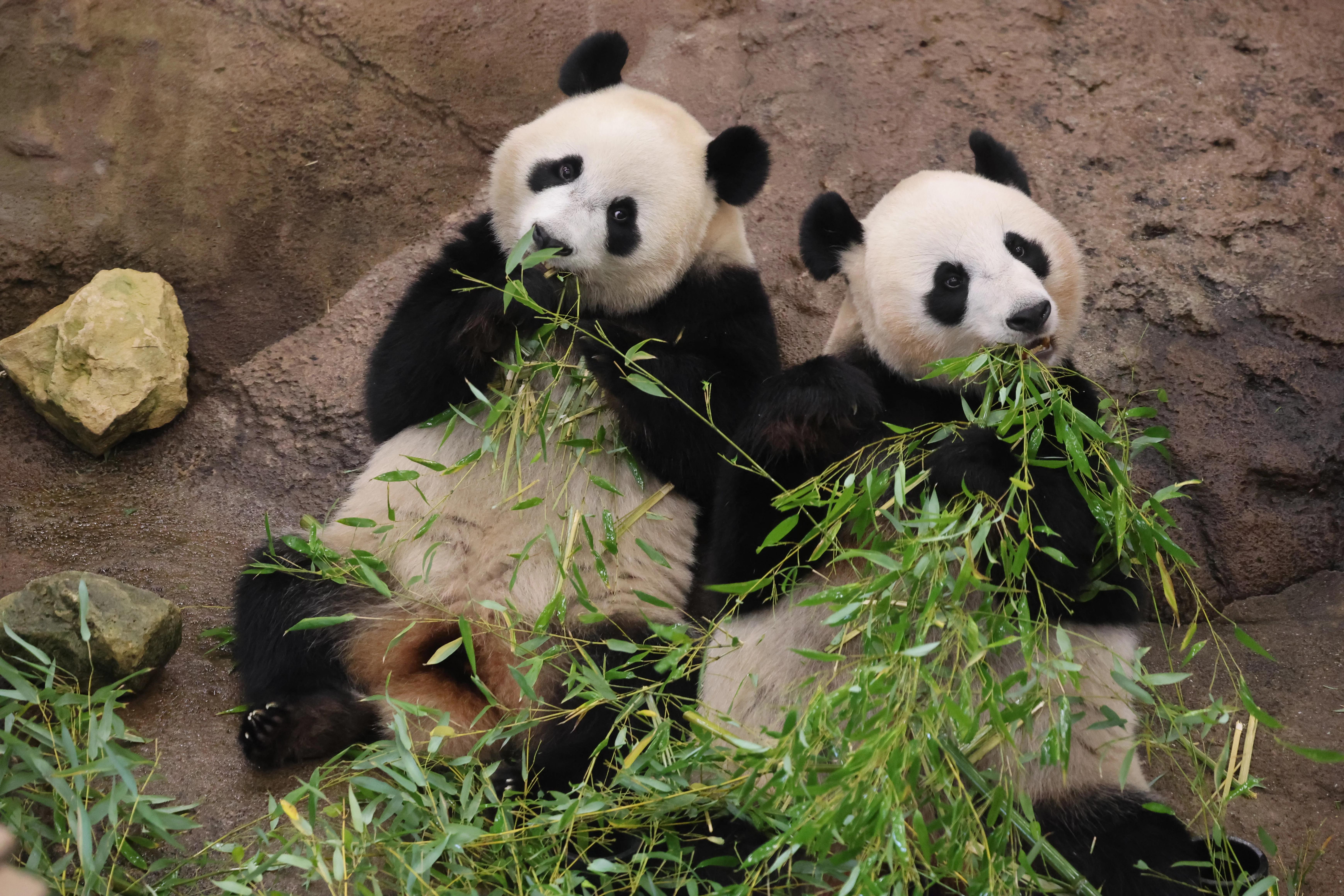 Ouwehands Dierenpark Rhenen