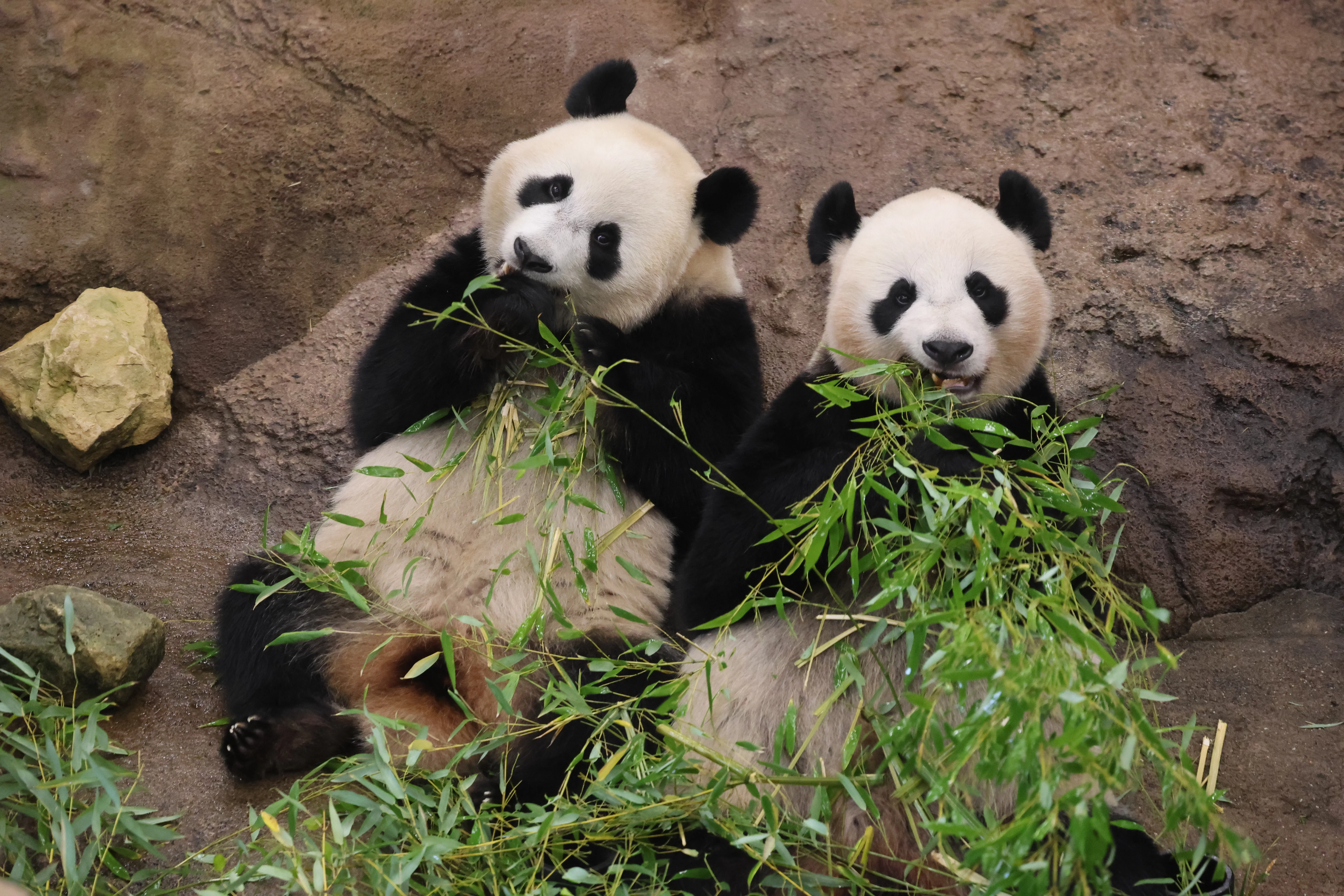 Ouwehands Dierenpark Rhenen