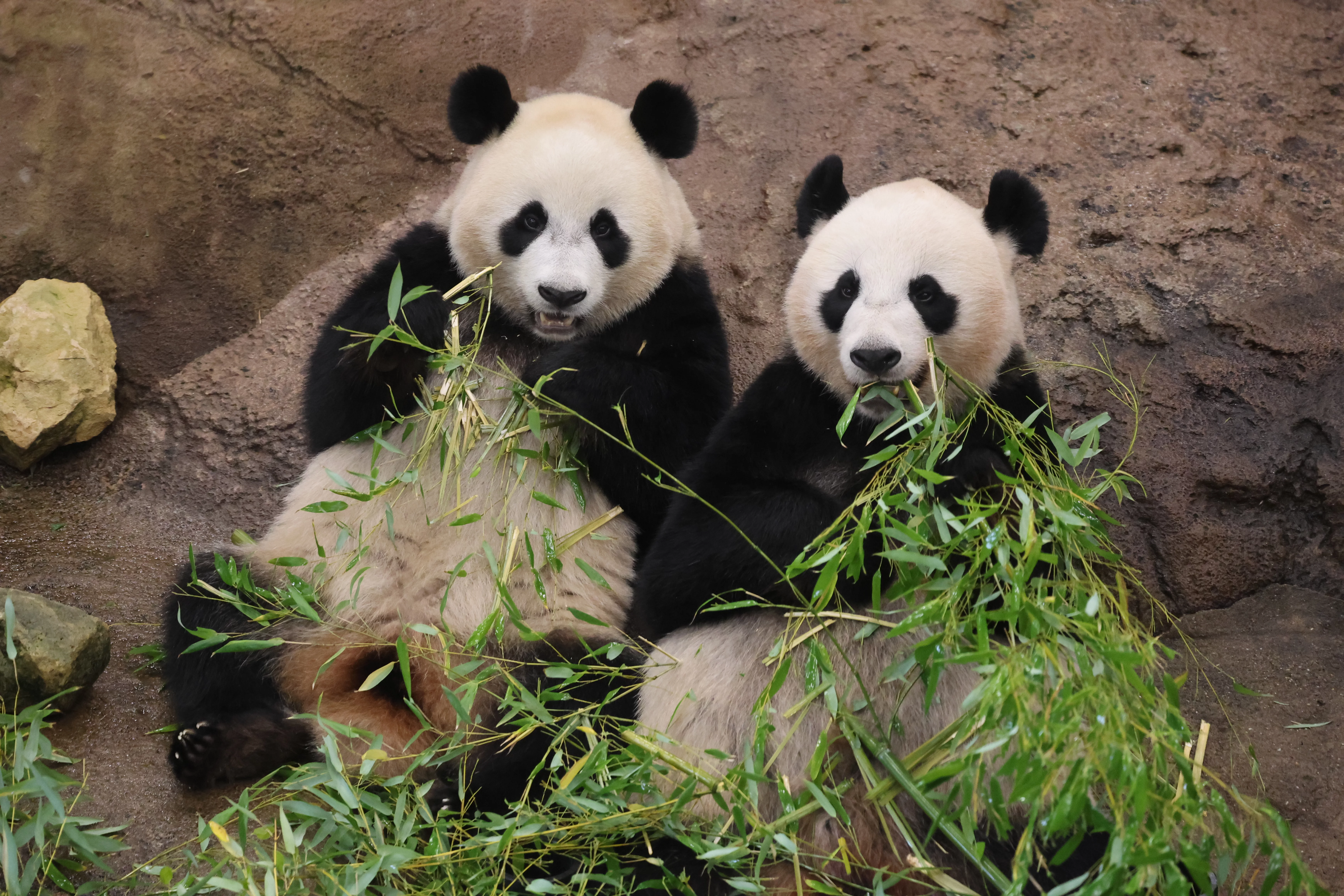 Ouwehands Dierenpark Rhenen