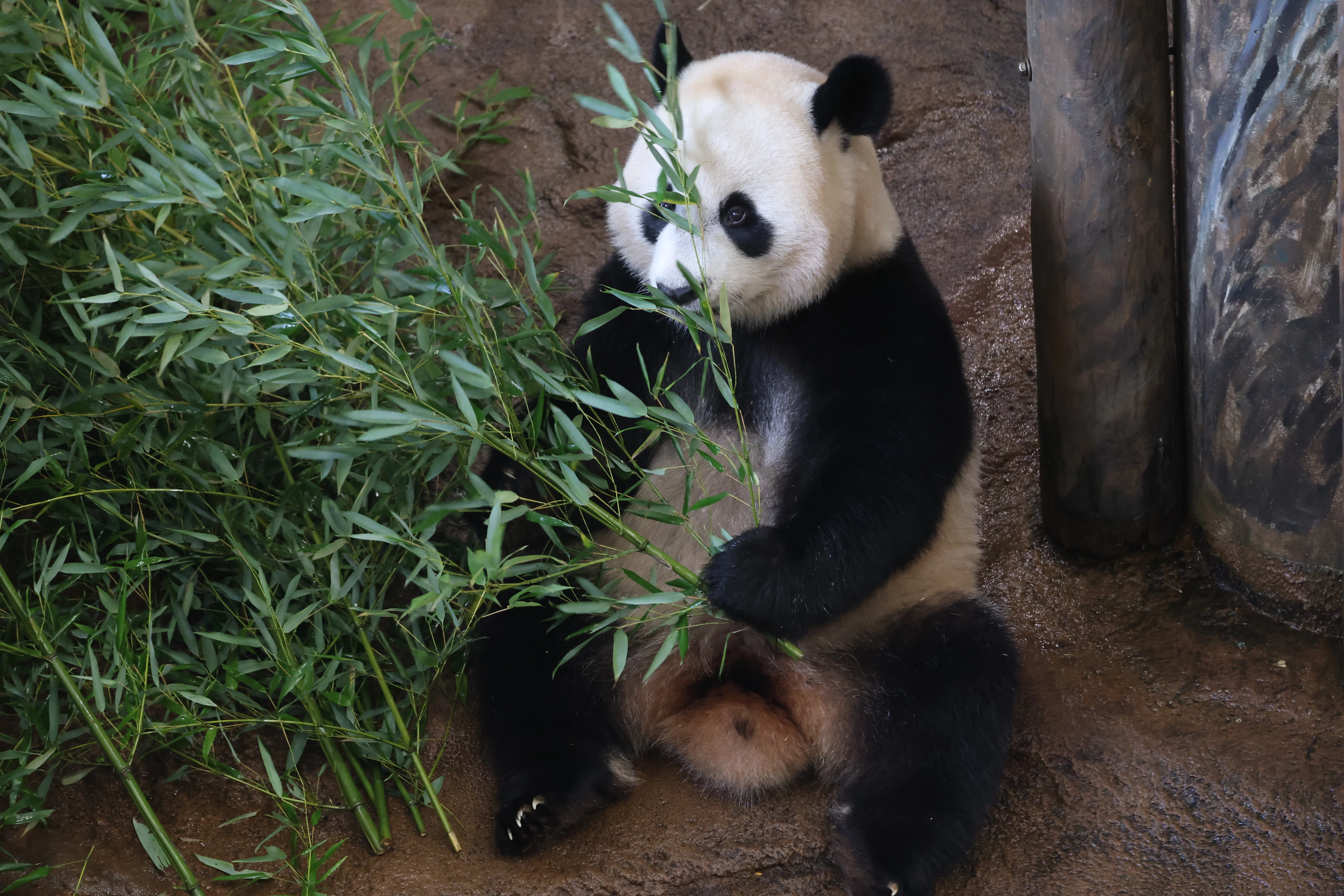 Ouwehands Dierenpark Rhenen