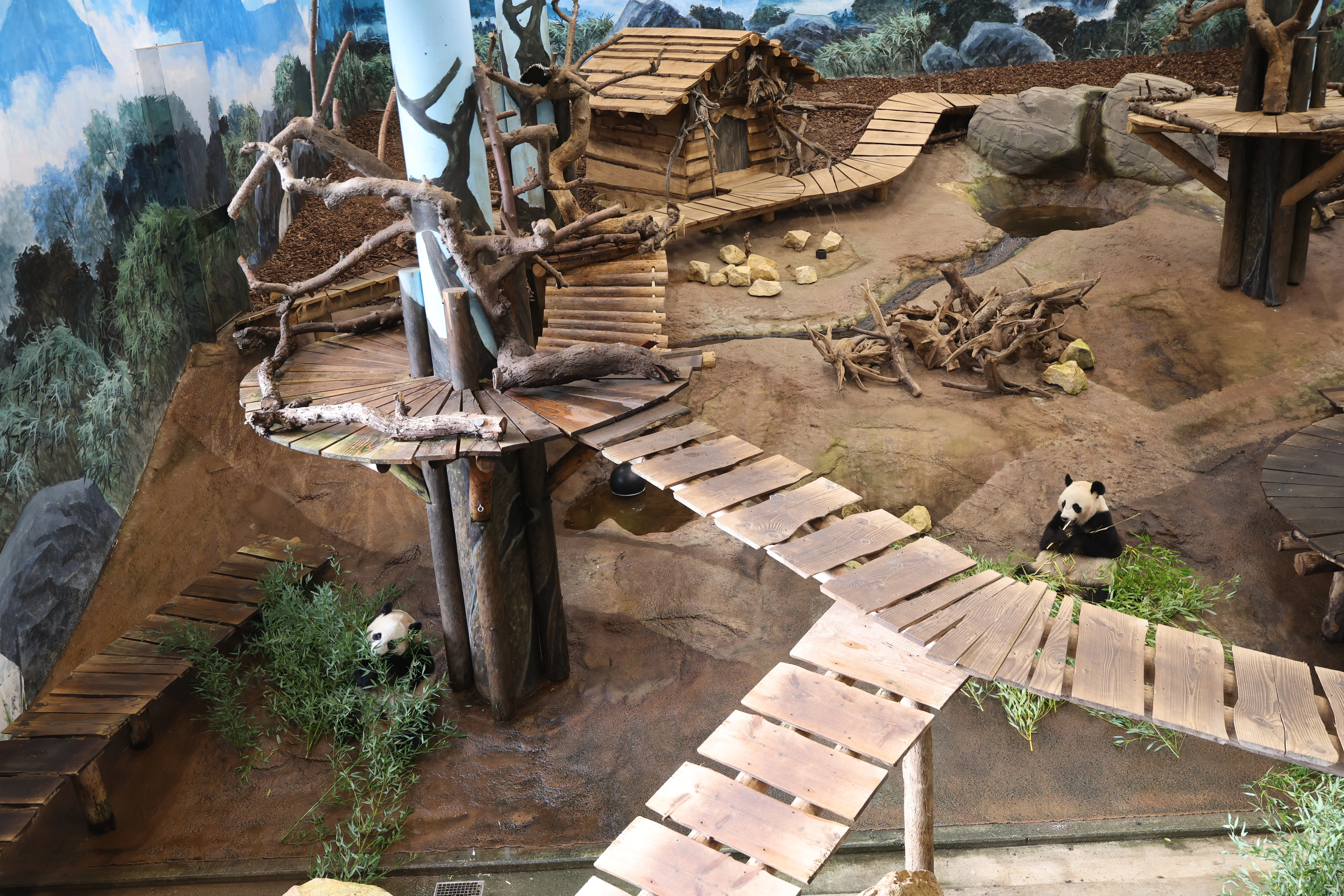 Ouwehands Dierenpark Rhenen