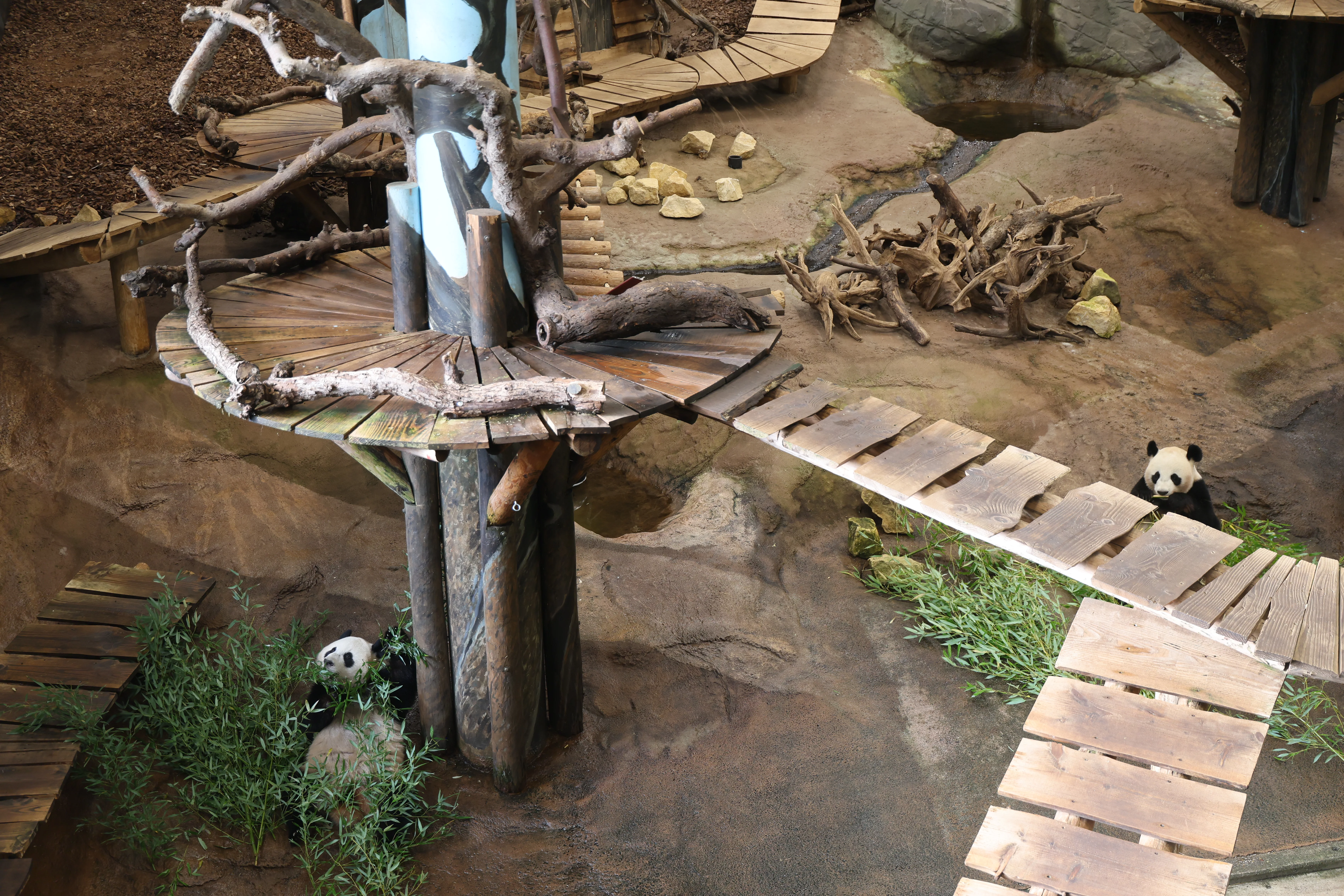 Ouwehands Dierenpark Rhenen
