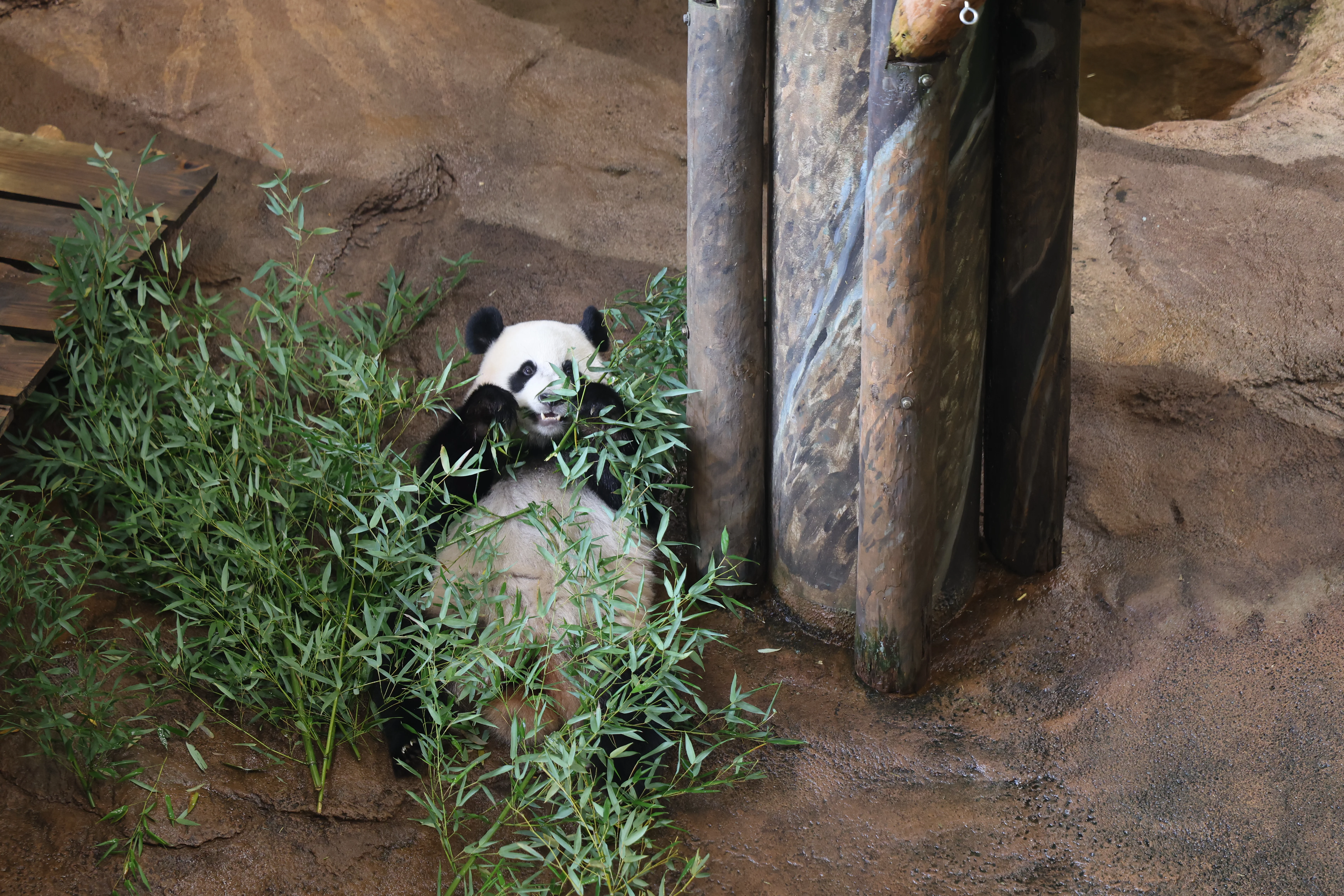 Ouwehands Dierenpark Rhenen