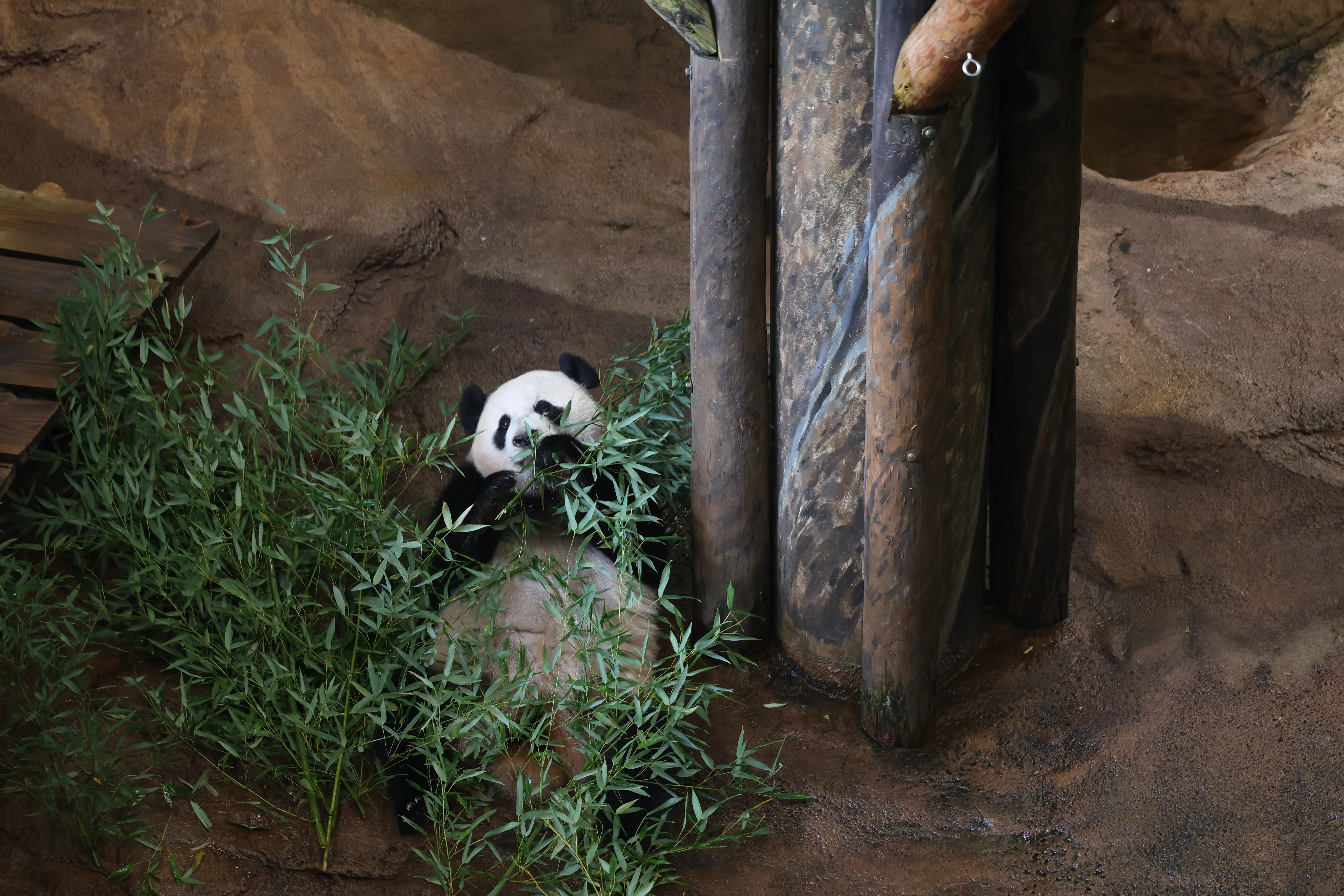 Ouwehands Dierenpark Rhenen