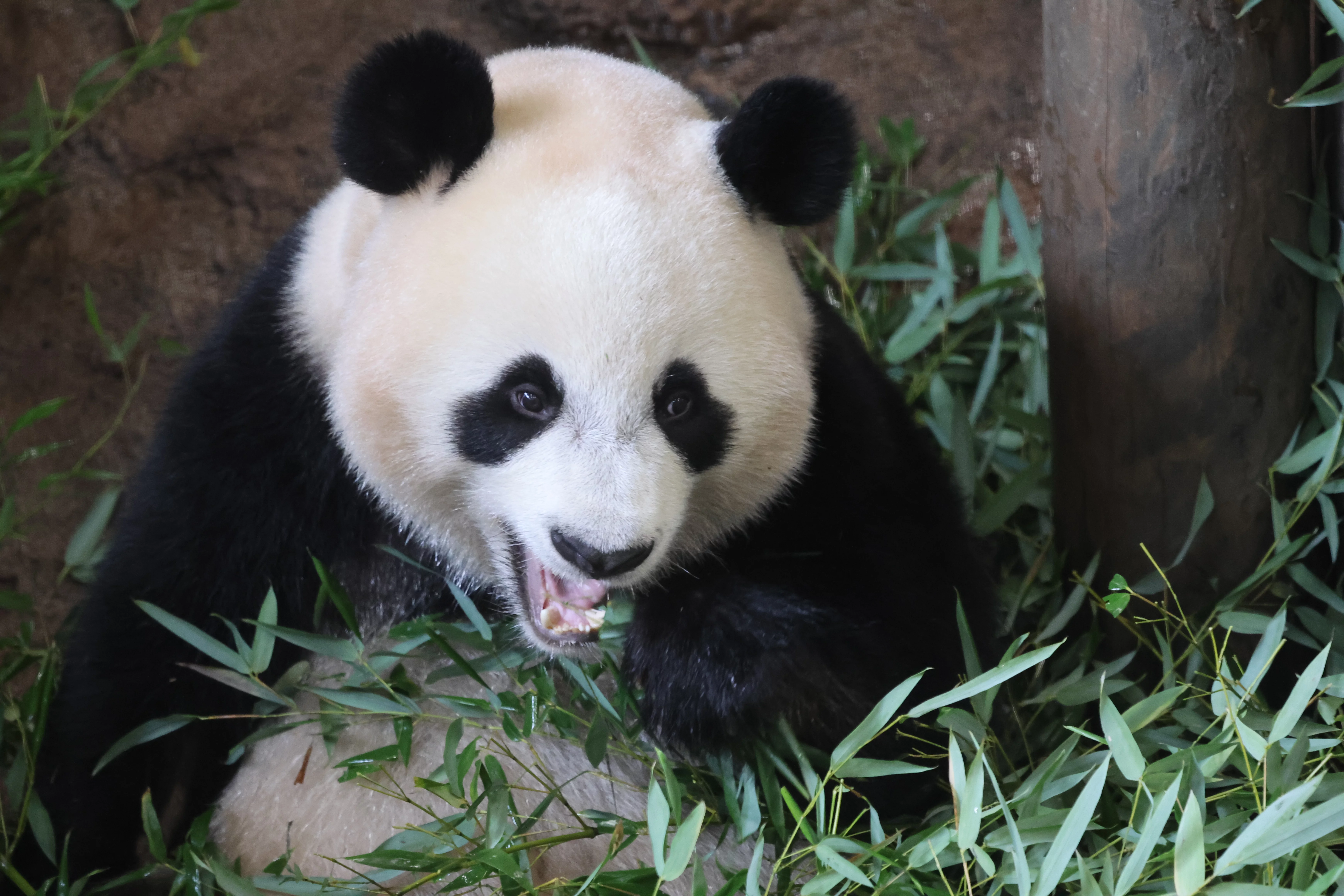 Ouwehands Dierenpark Rhenen