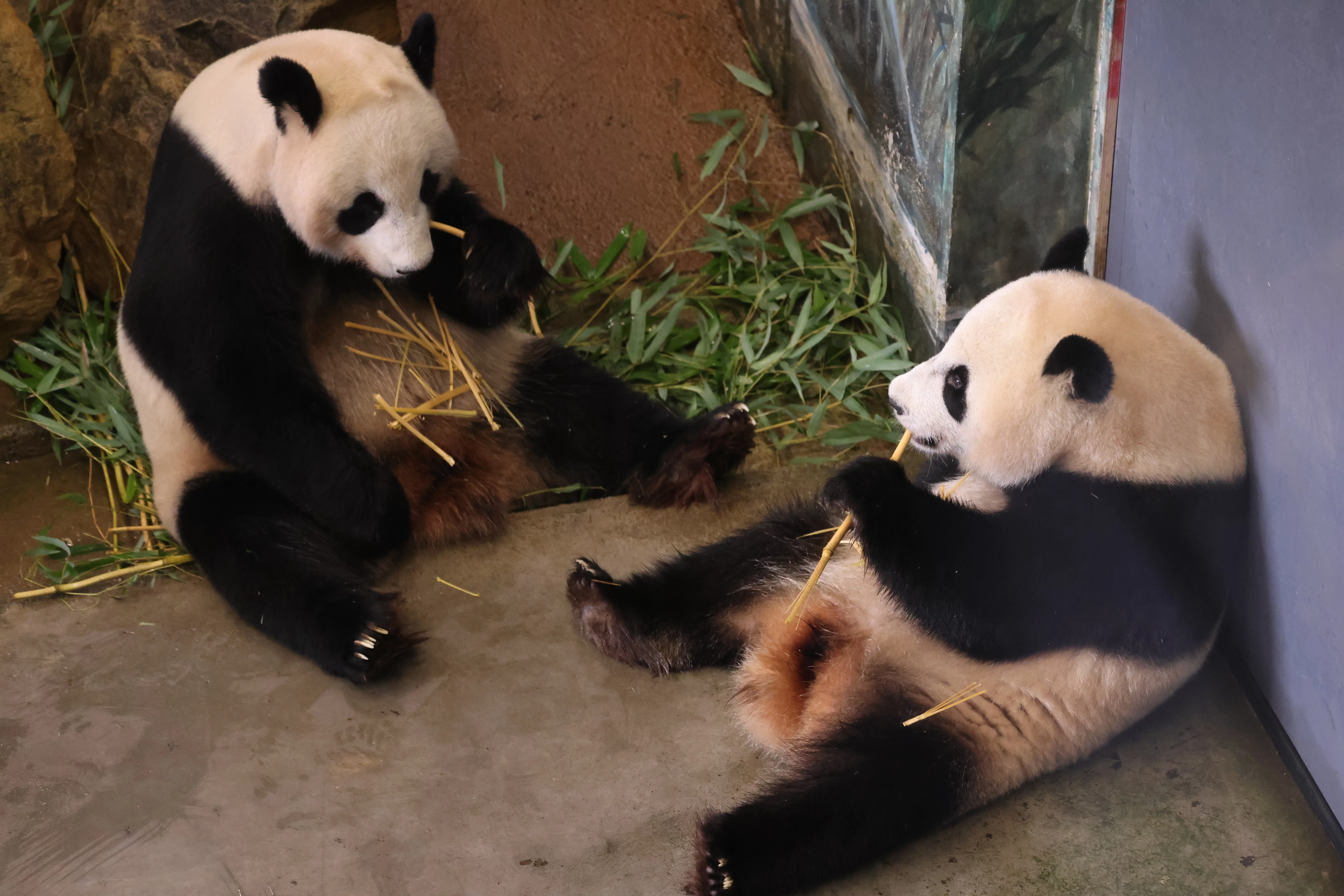 Ouwehands Dierenpark Rhenen