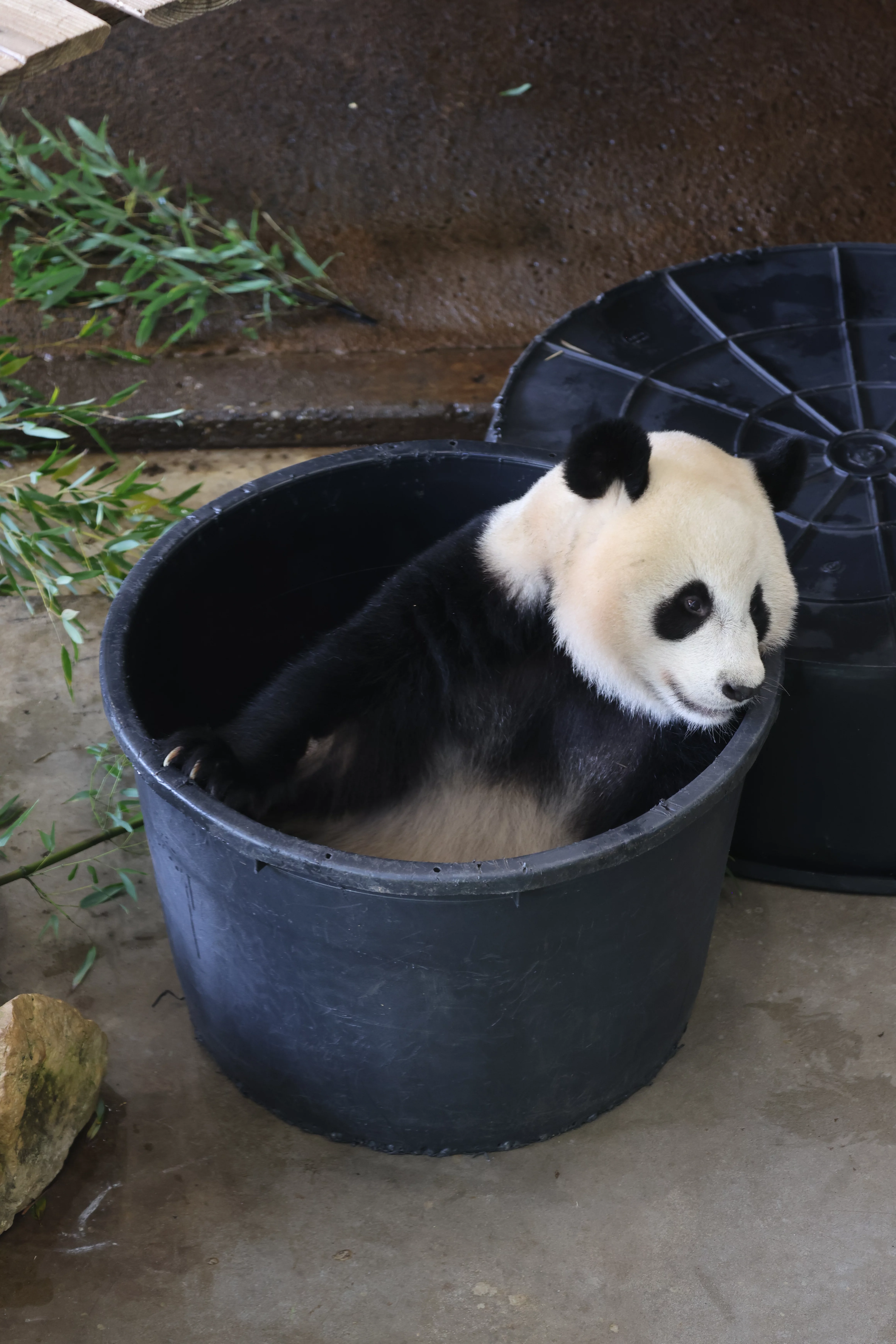 Ouwehands Dierenpark Rhenen