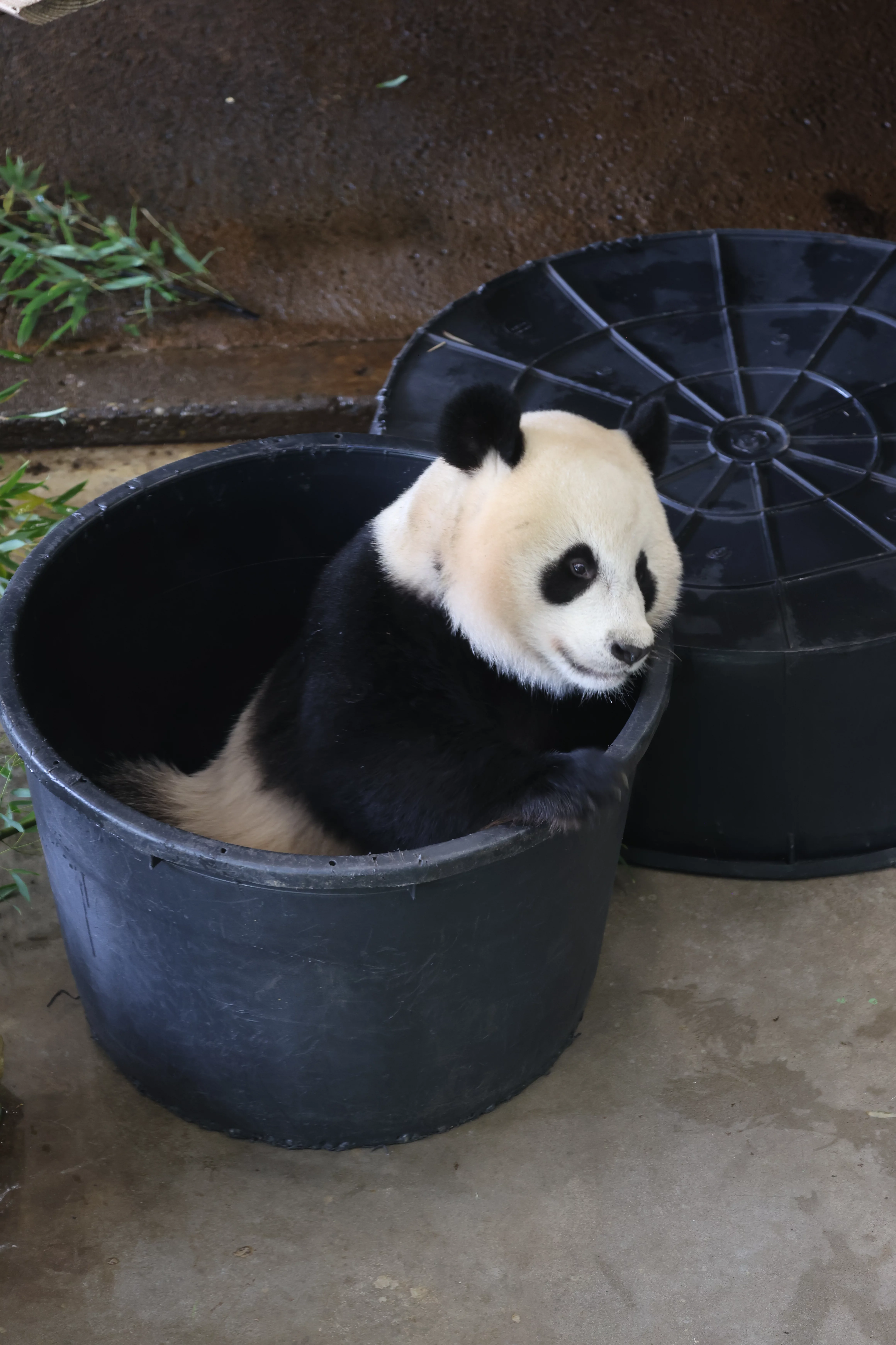 Ouwehands Dierenpark Rhenen