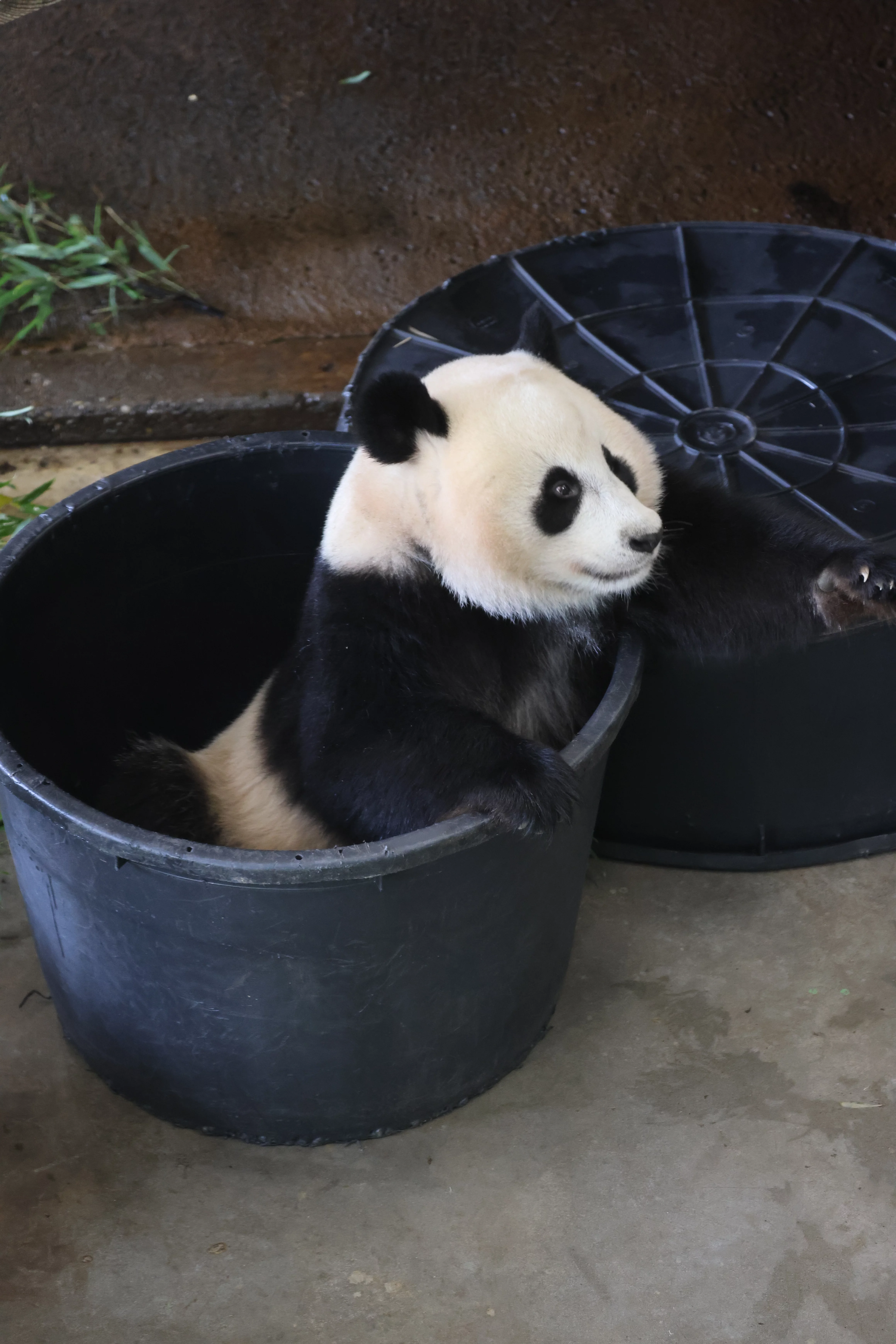 Ouwehands Dierenpark Rhenen