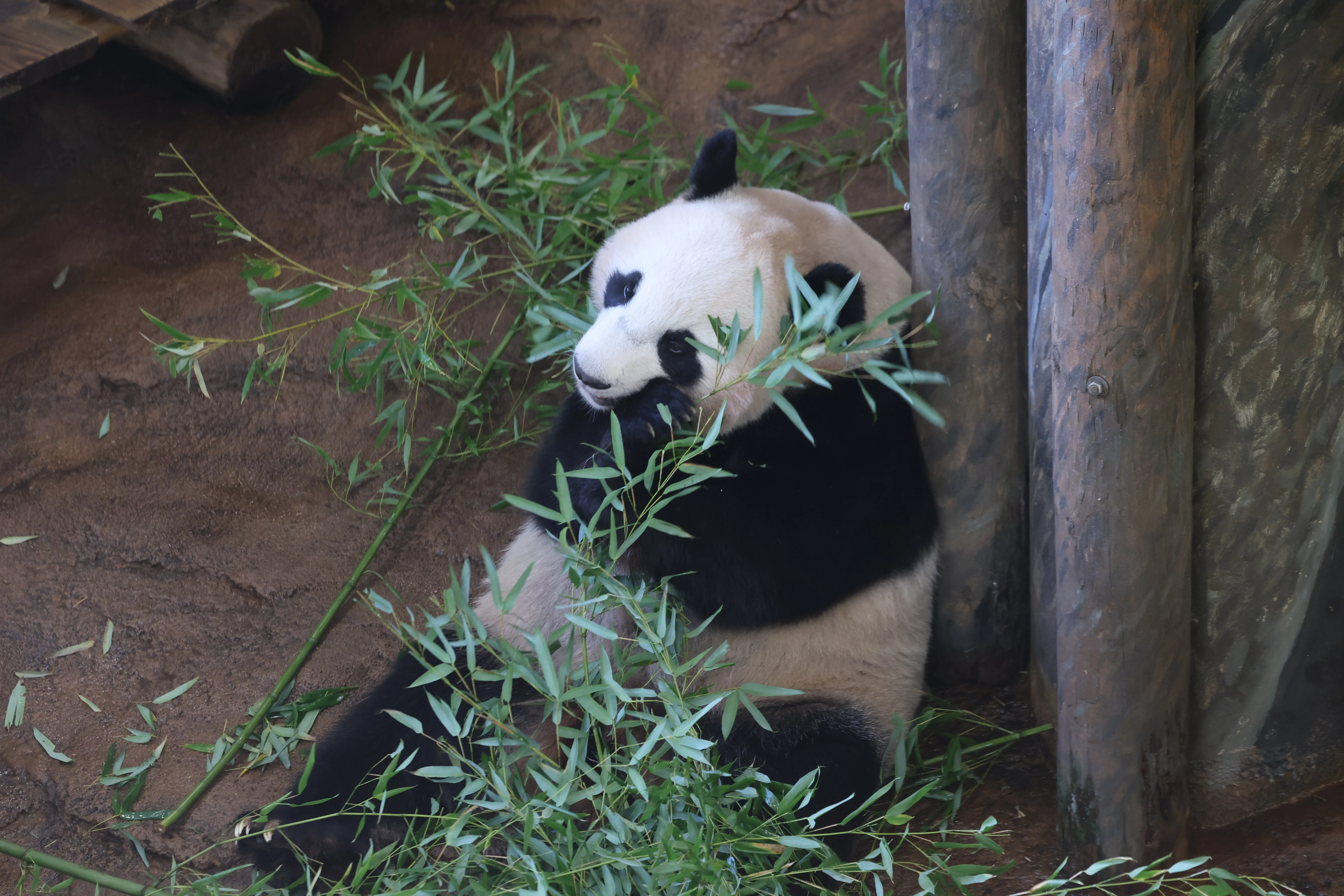 Ouwehands Dierenpark Rhenen