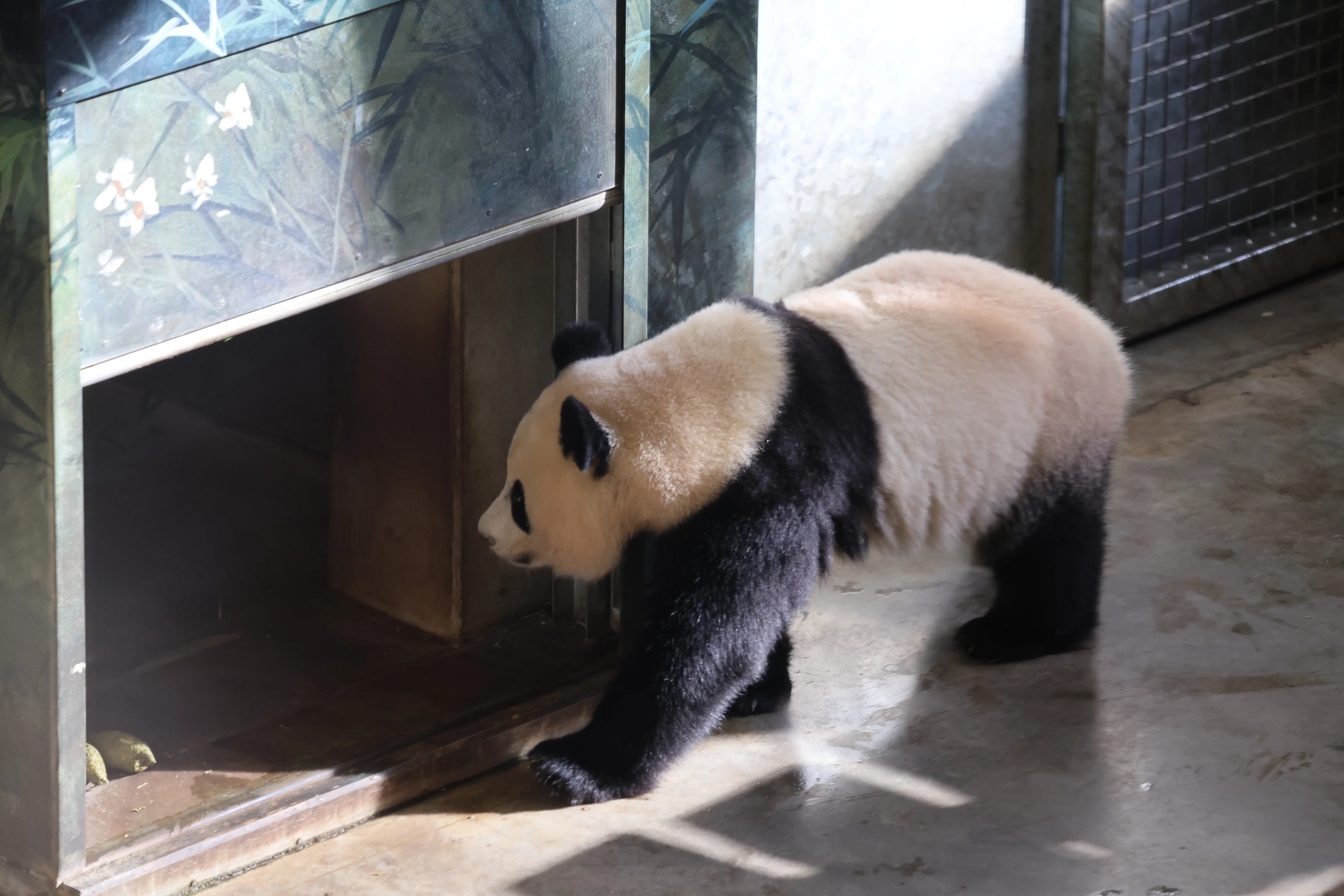 Ouwehands Dierenpark Rhenen