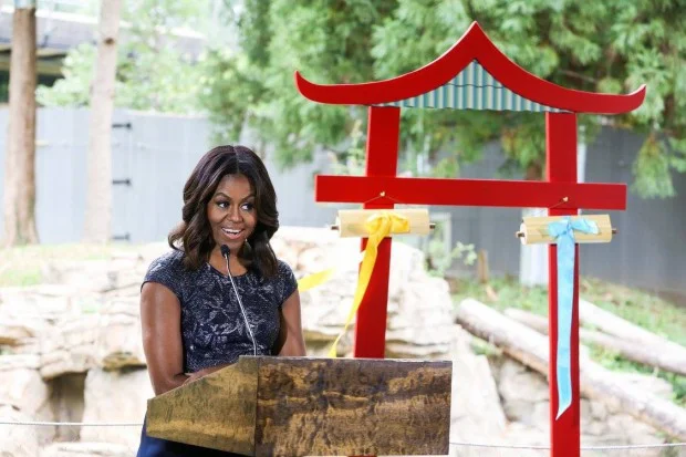 12027320_10153602613437902_1298741290365278514_o-620x413