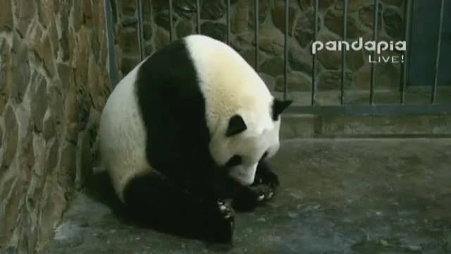 13133214_1396732330353117_4392002572487696238_n