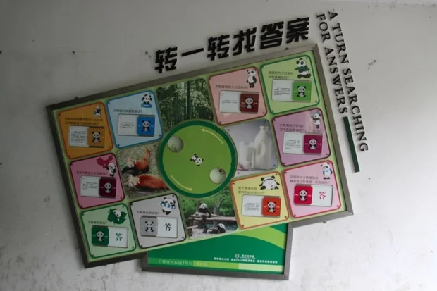 2011-11-19-ChongQing-Zoo-020