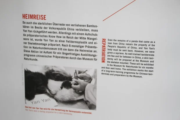 2015-05-22-Museum-fur-Naturkunde-Berlin-033-620x413