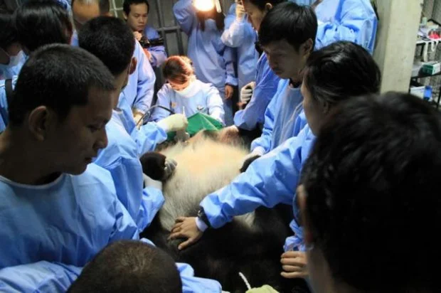 30215918-01_big-620x412