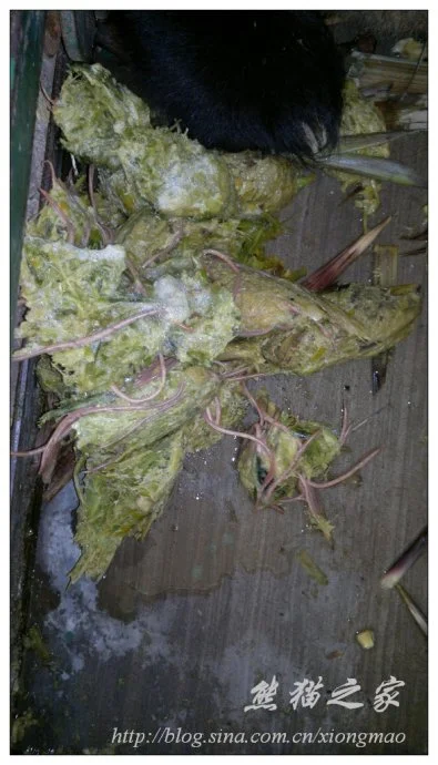 49246d36gbf6b723a6517690