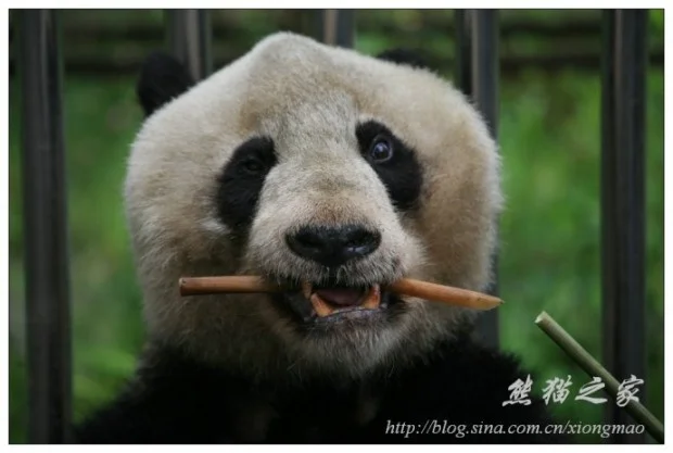 49246d36gbf6b91871b3f690-620x417