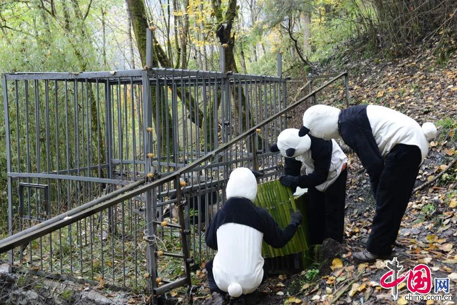 c89cdcae397613df007845