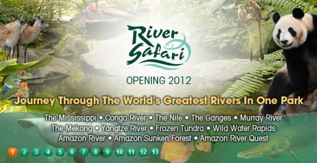 River-Safari1-620x318