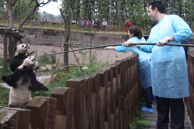 2010-09-24-Becoming-Panda-Keepers