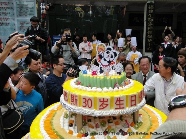 2010-11-13-Fuzhou-Panda-World-Basis-30th-Birthday-005-620x465