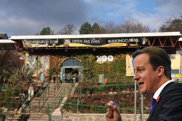 David-Cameron-Edinburgh-Zoo